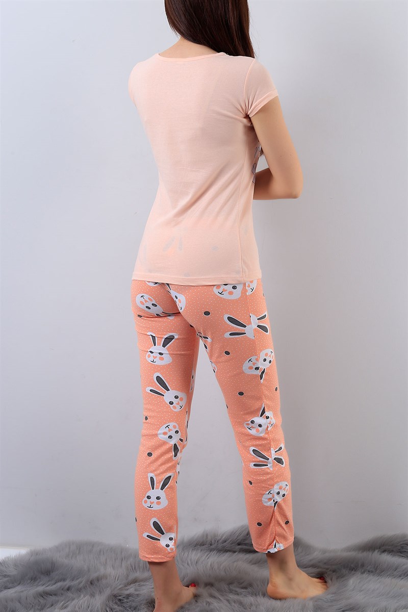 Pudra Resimli Bayan Pijama Takımı 15871B