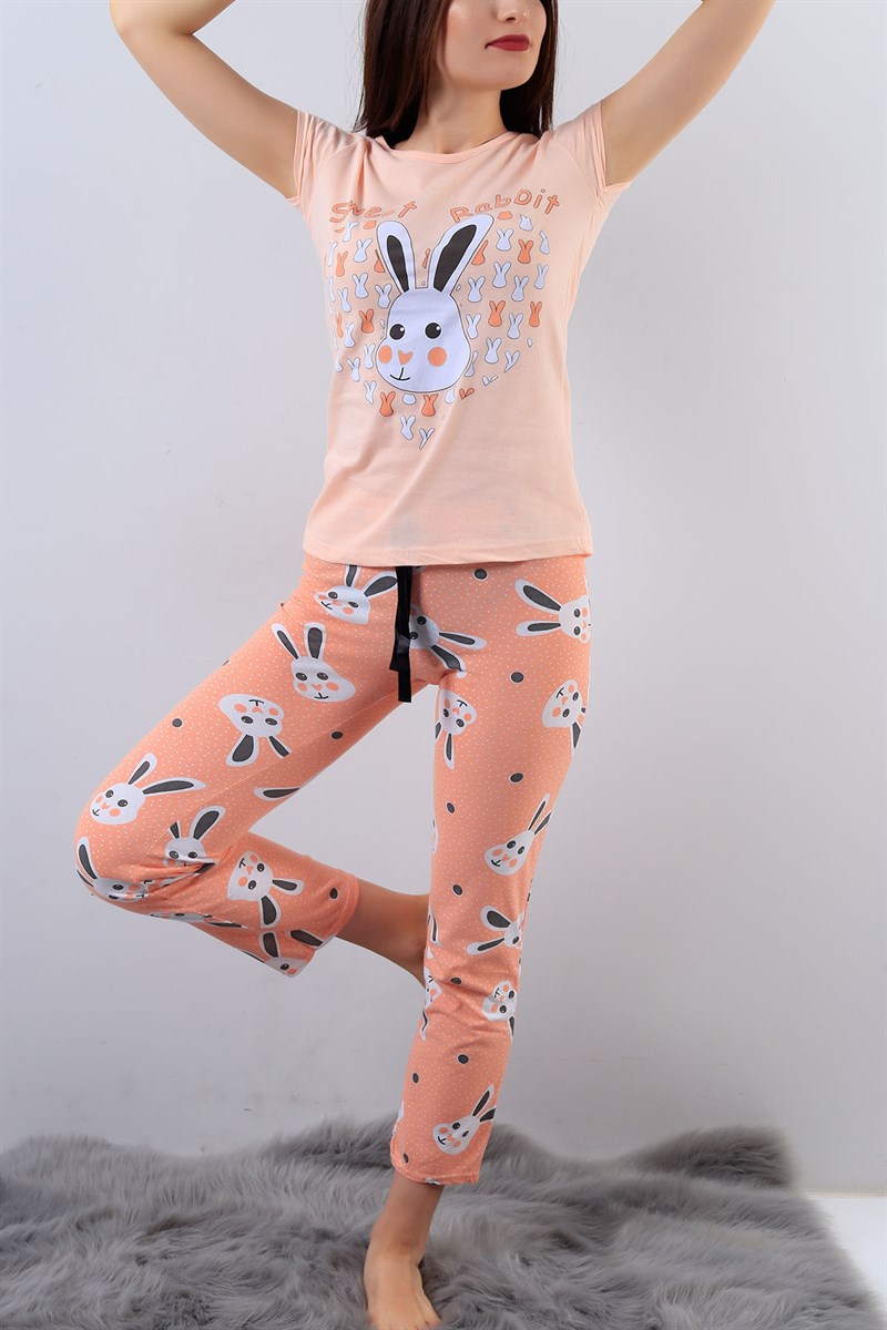 Pudra Resimli Bayan Pijama Takımı 15871B