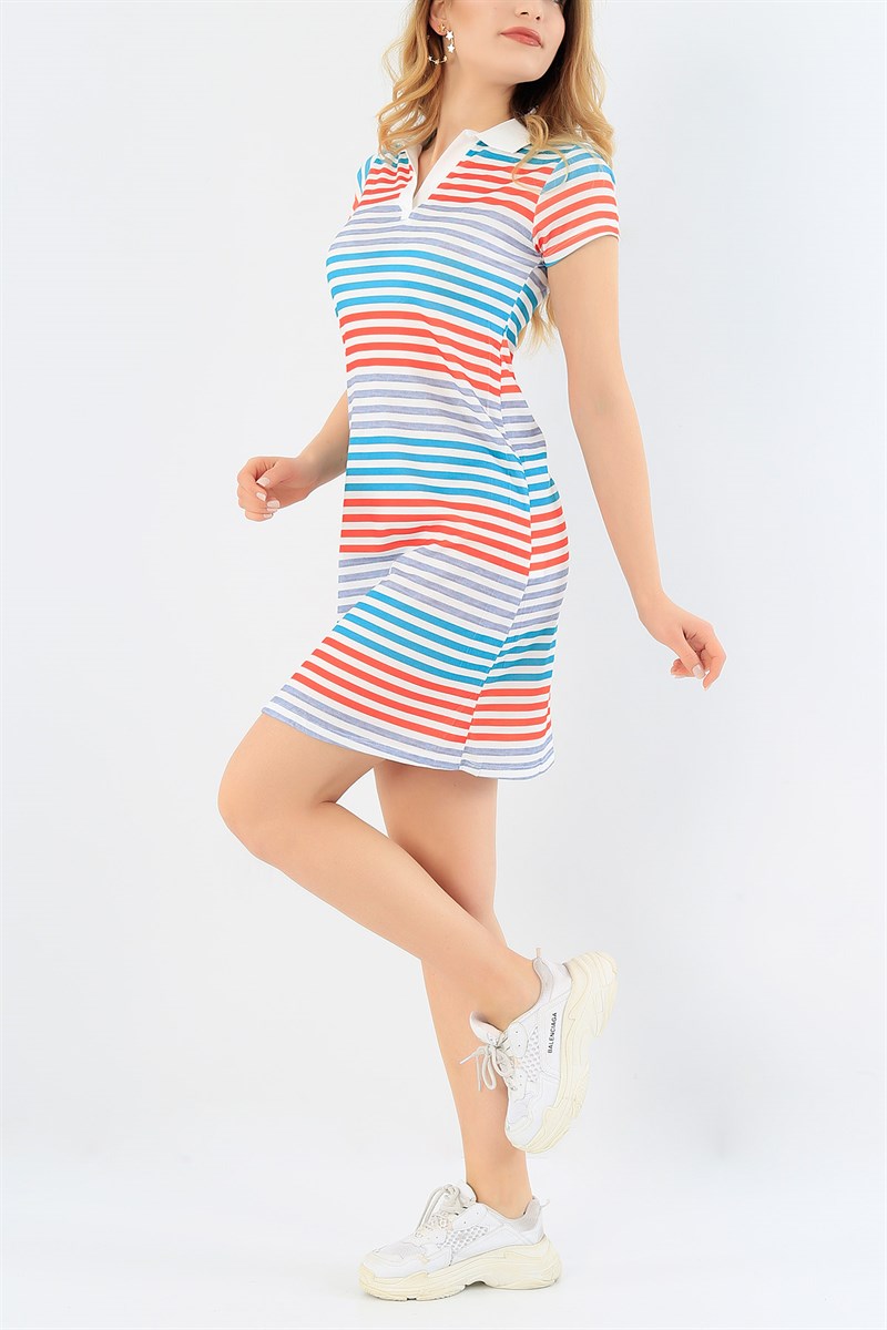 Renli Polo Yaka Çizgili Elbise 30434