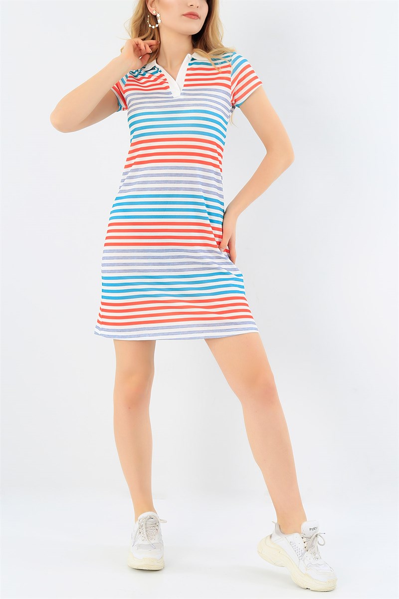 Renli Polo Yaka Çizgili Elbise 30434