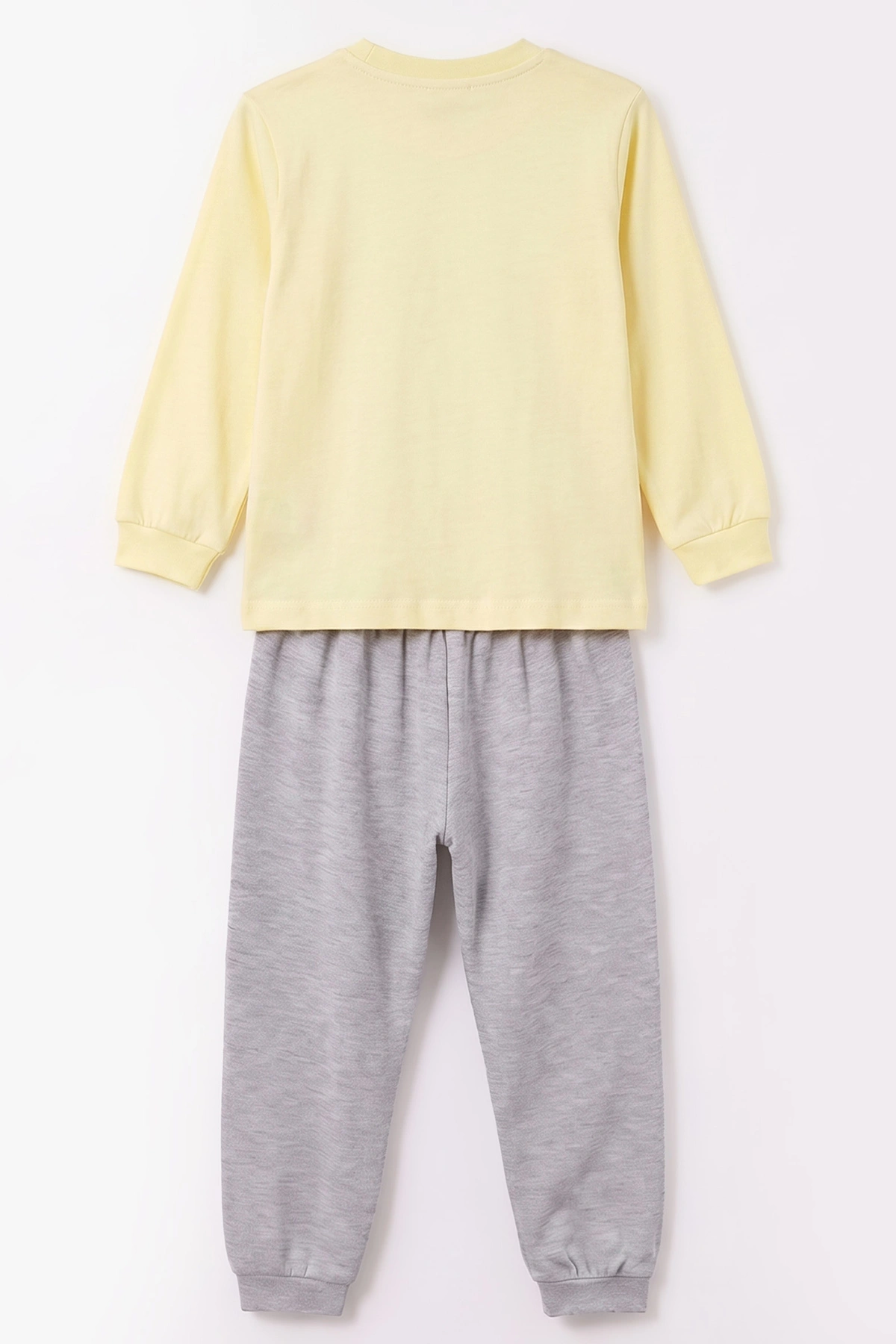 Sarı (3-8 Yaş) Karakter Baskılı İnterlok Kumaş Kız Çocuk Pijama Takım 491059