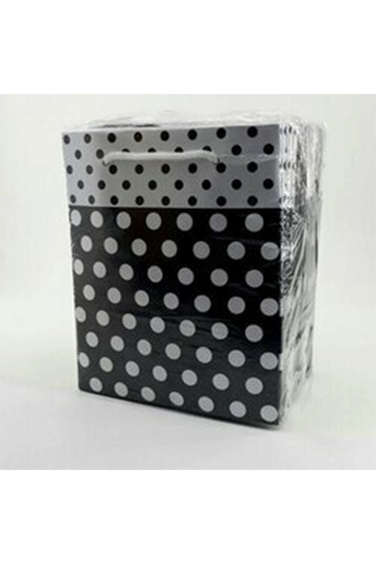 Siyah 14*17 Puantiyelli 5'li Çanta 302874