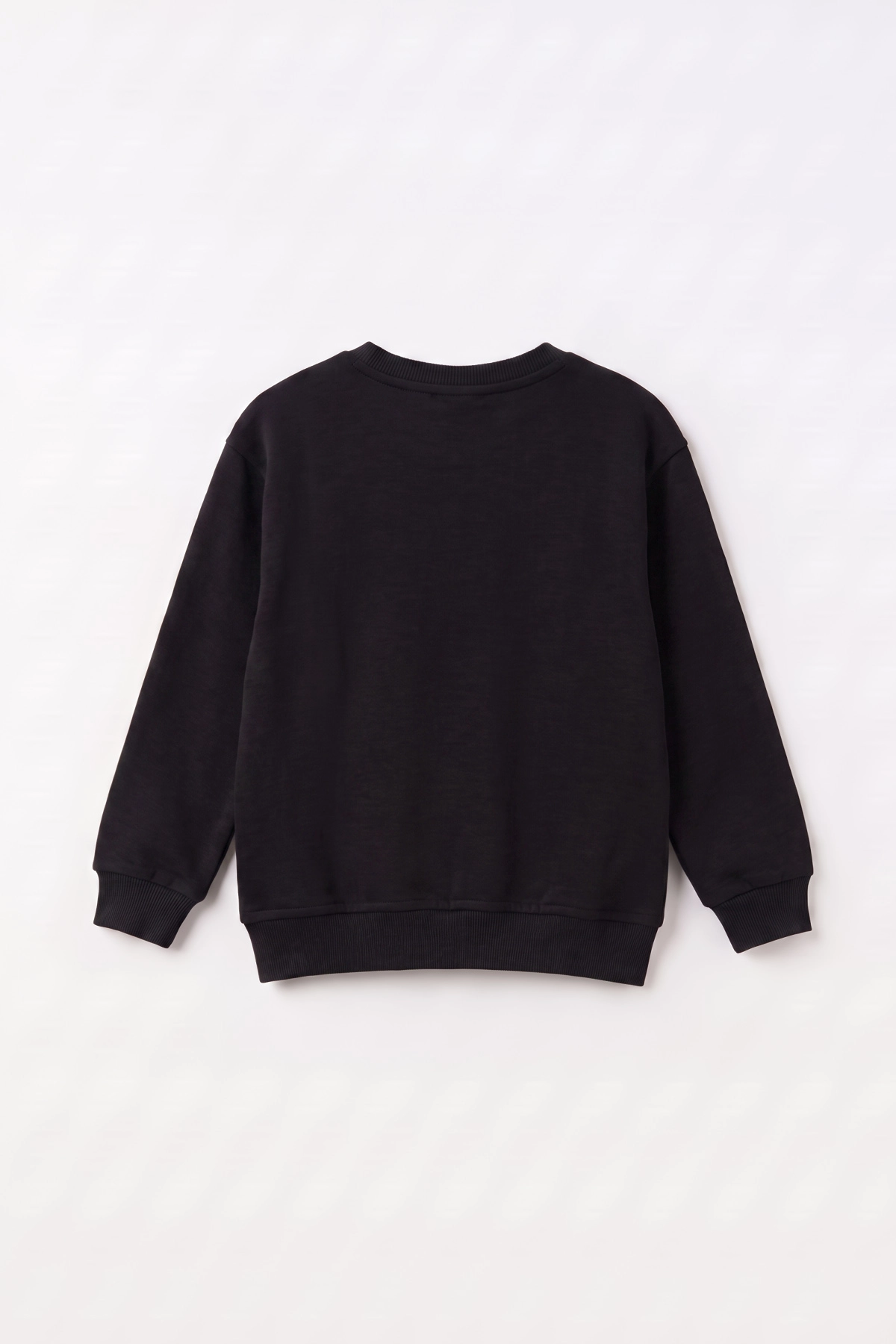 Siyah (2-12 Yaş) Theless Nakışlı  İçi Şardonlu Erkek  Çocuk Sweatshirt 483293