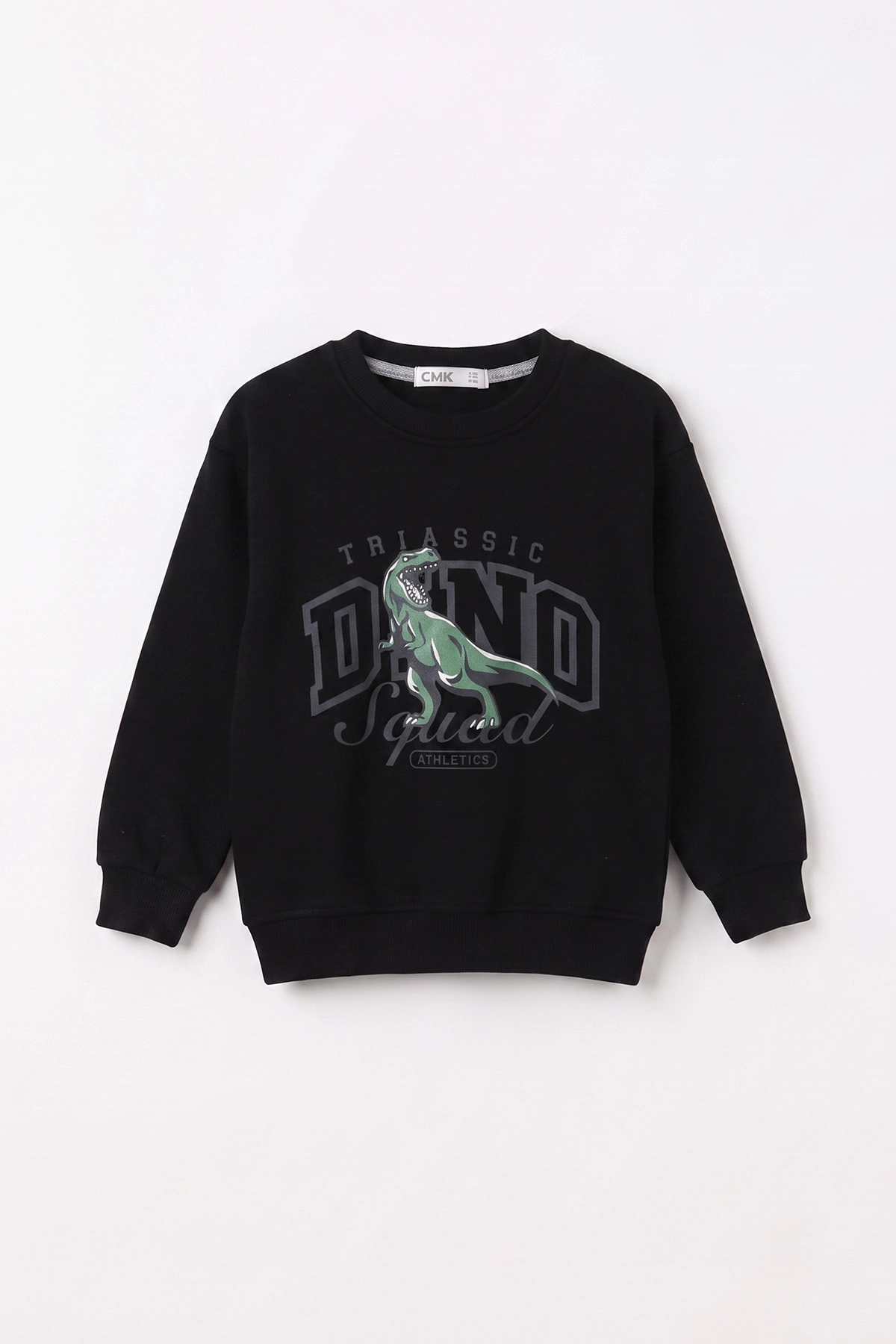 Siyah (3-12 Yaş) Dino Baskılı 3 İp Şardonlu Erkek Çocuk Sweatshirt 483906