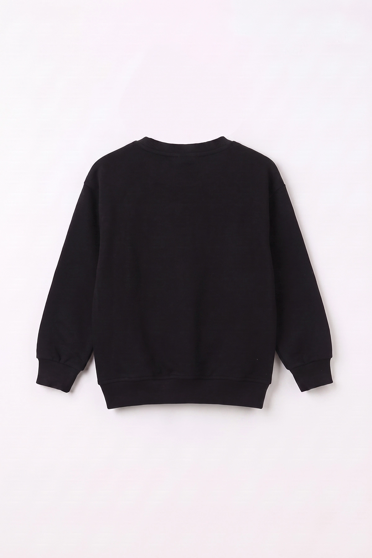 Siyah (3-12 Yaş) Dino Baskılı 3 İp Şardonlu Erkek Çocuk Sweatshirt 483906