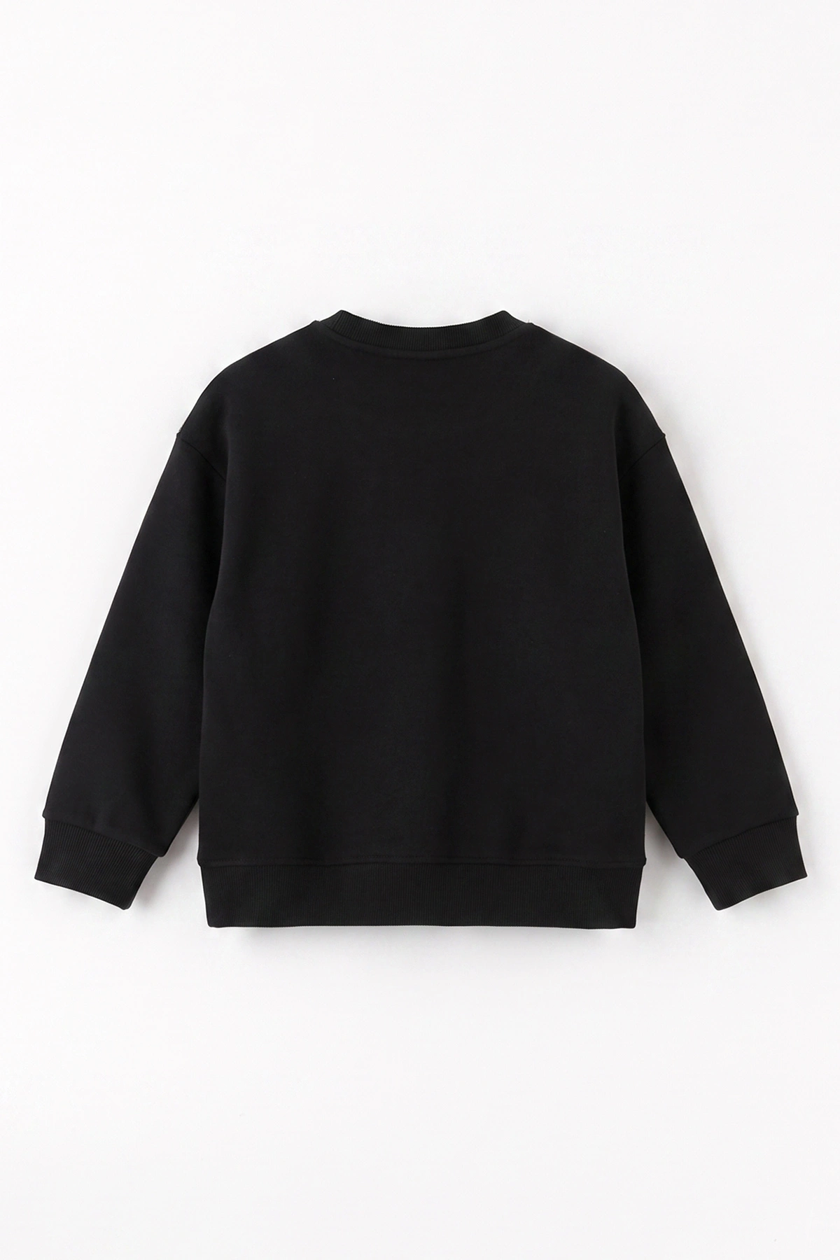 Siyah (3-12 Yaş) Yazı Nakışlı Erkek Çocuk Sweatshirt 473814