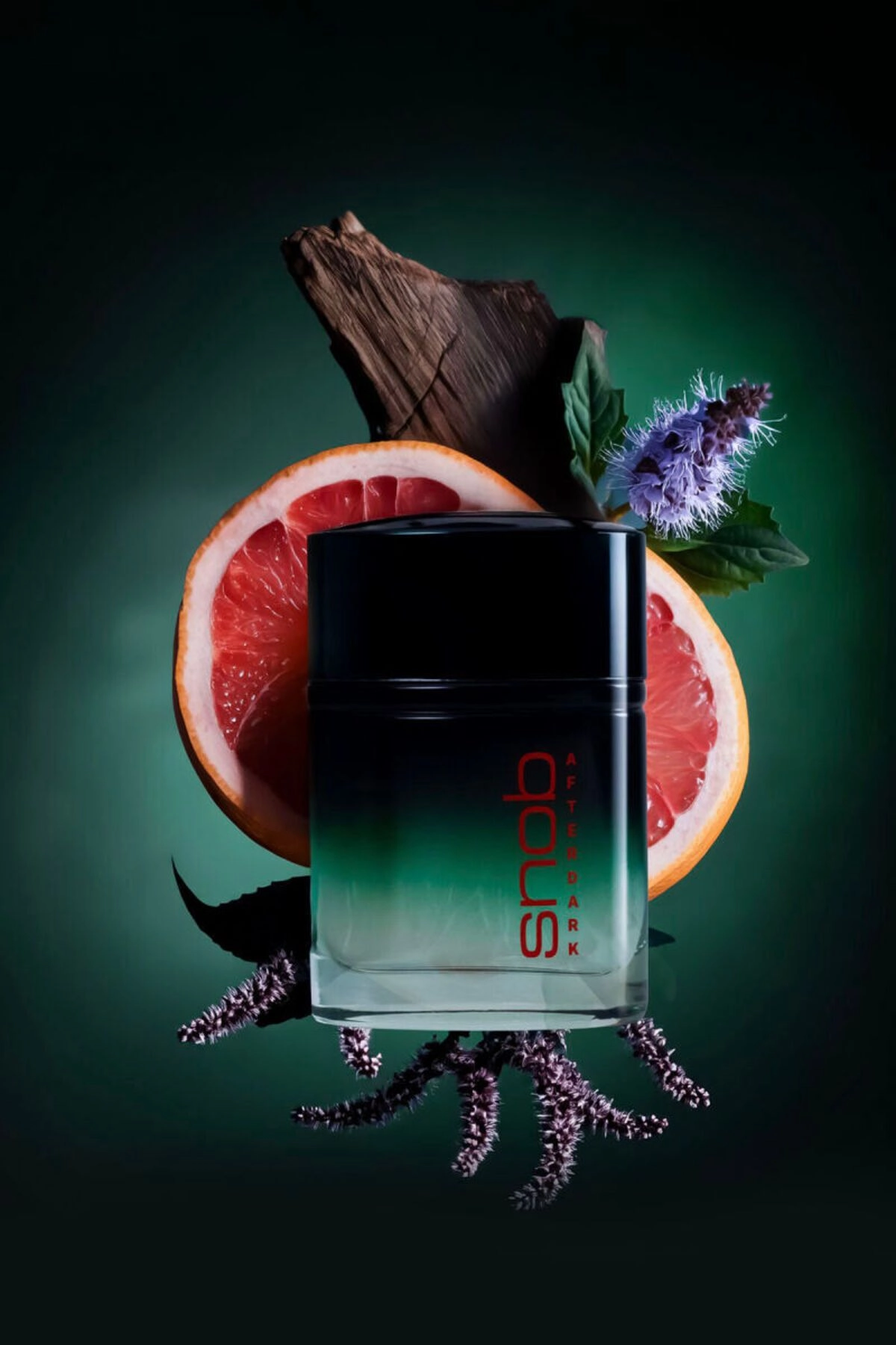 Snob Afterdark EDT & Deodorant Hediye'li Kofre 338718