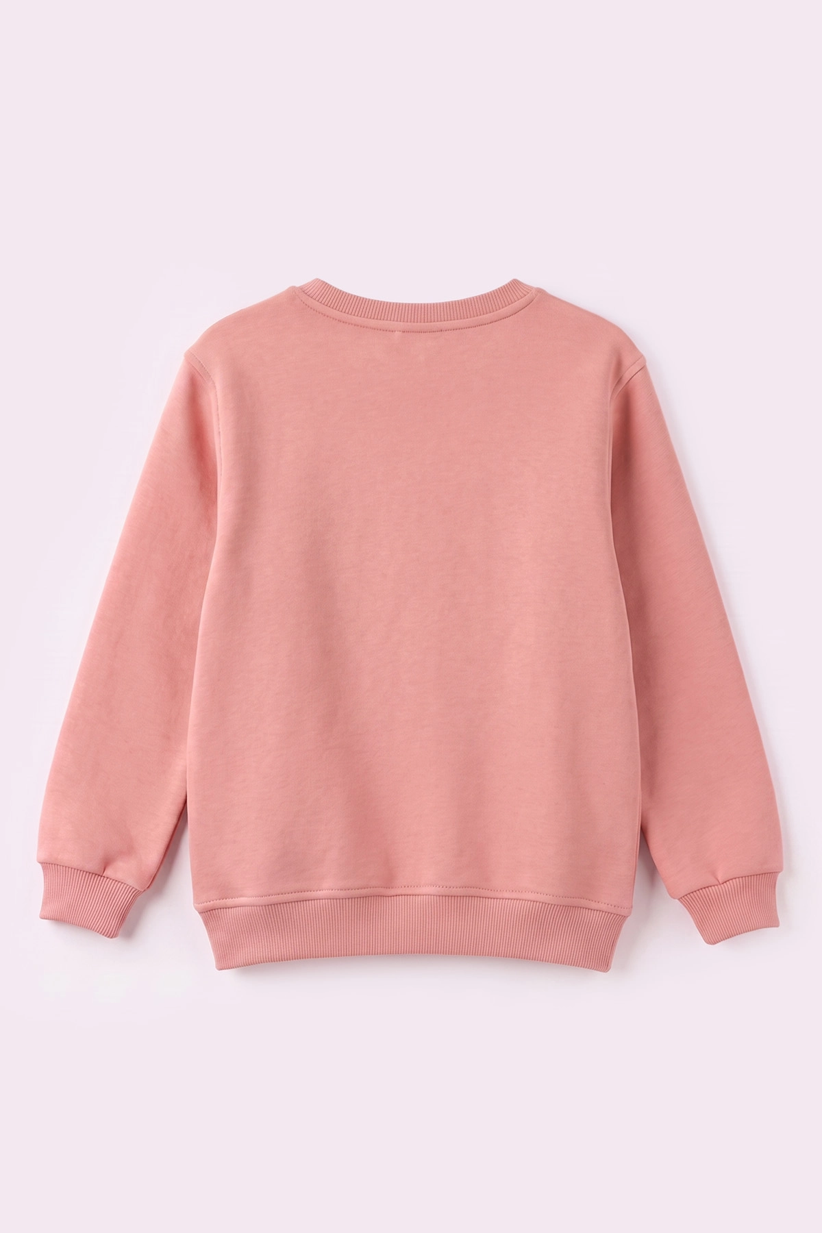 Somon (2-12 Yaş) Fiyonk Nakışlı Taşlı  İçi Şardonlu Kız Çocuk Sweatshirt 483282