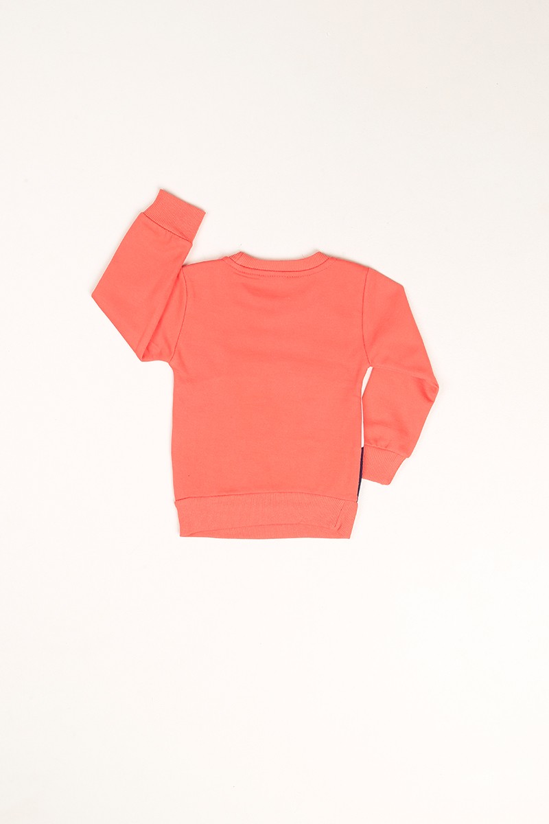 Somon Pul ve Nakış İşlemeli Şardonlu Kız Çocuk Sweat 80781