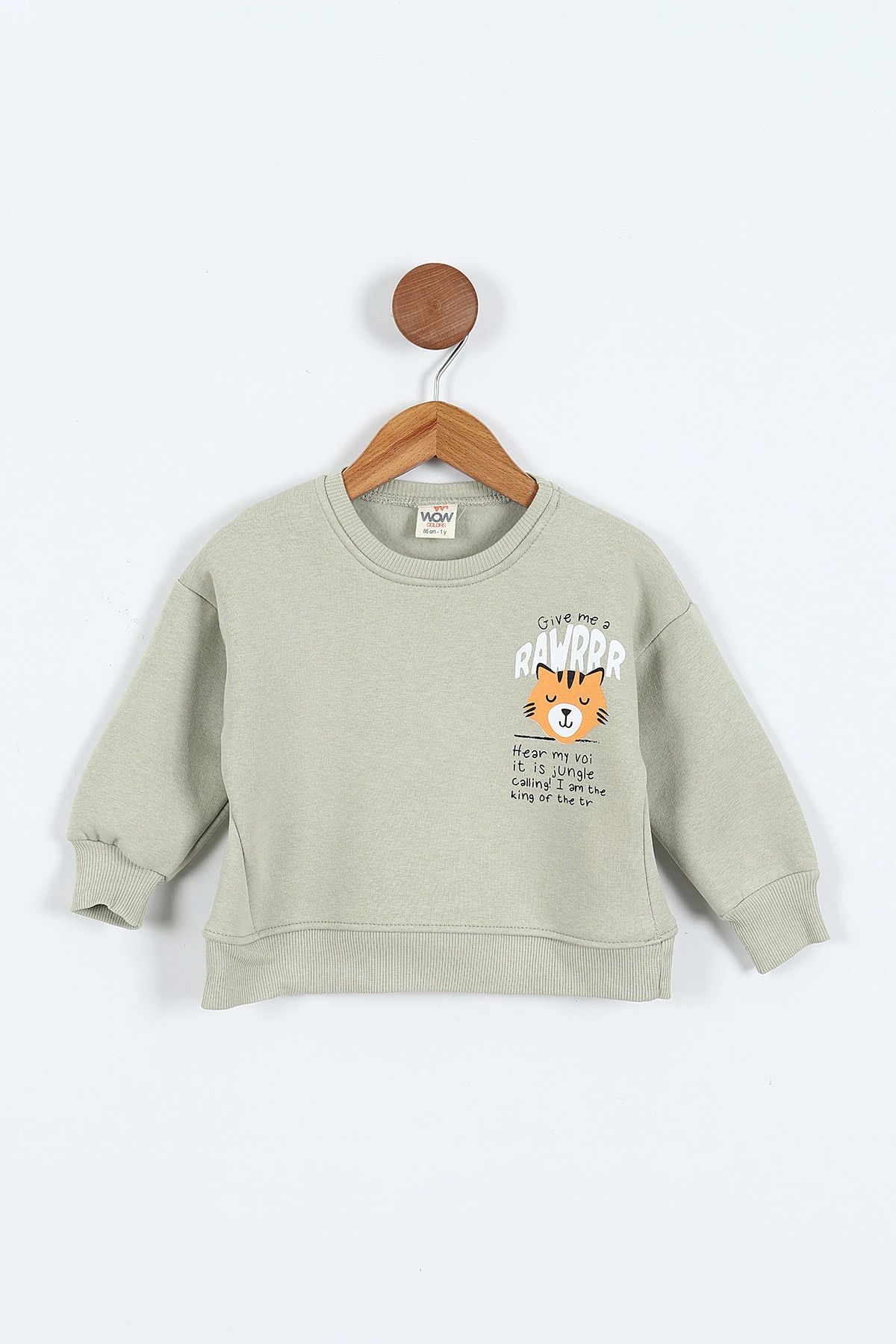 Su Yeşili (0-4 Yaş)Rawr Baskılı  3  İp Şardonlu Erkek Çocuk Sweatshirt 415036