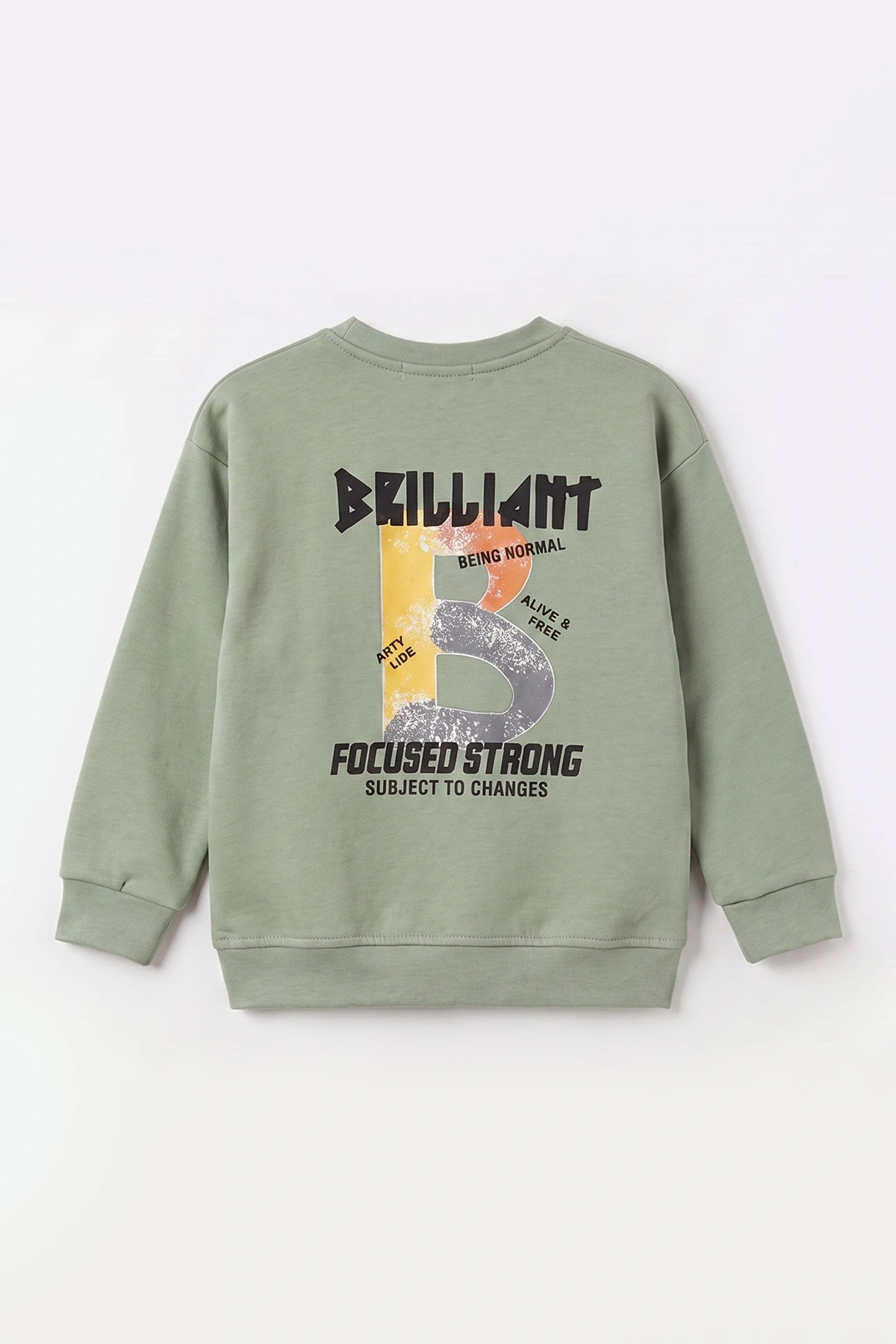 Su Yeşili (3-12 Yaş)Baskılı 2 İp Erkek Çocuk Sweatshirt 484124