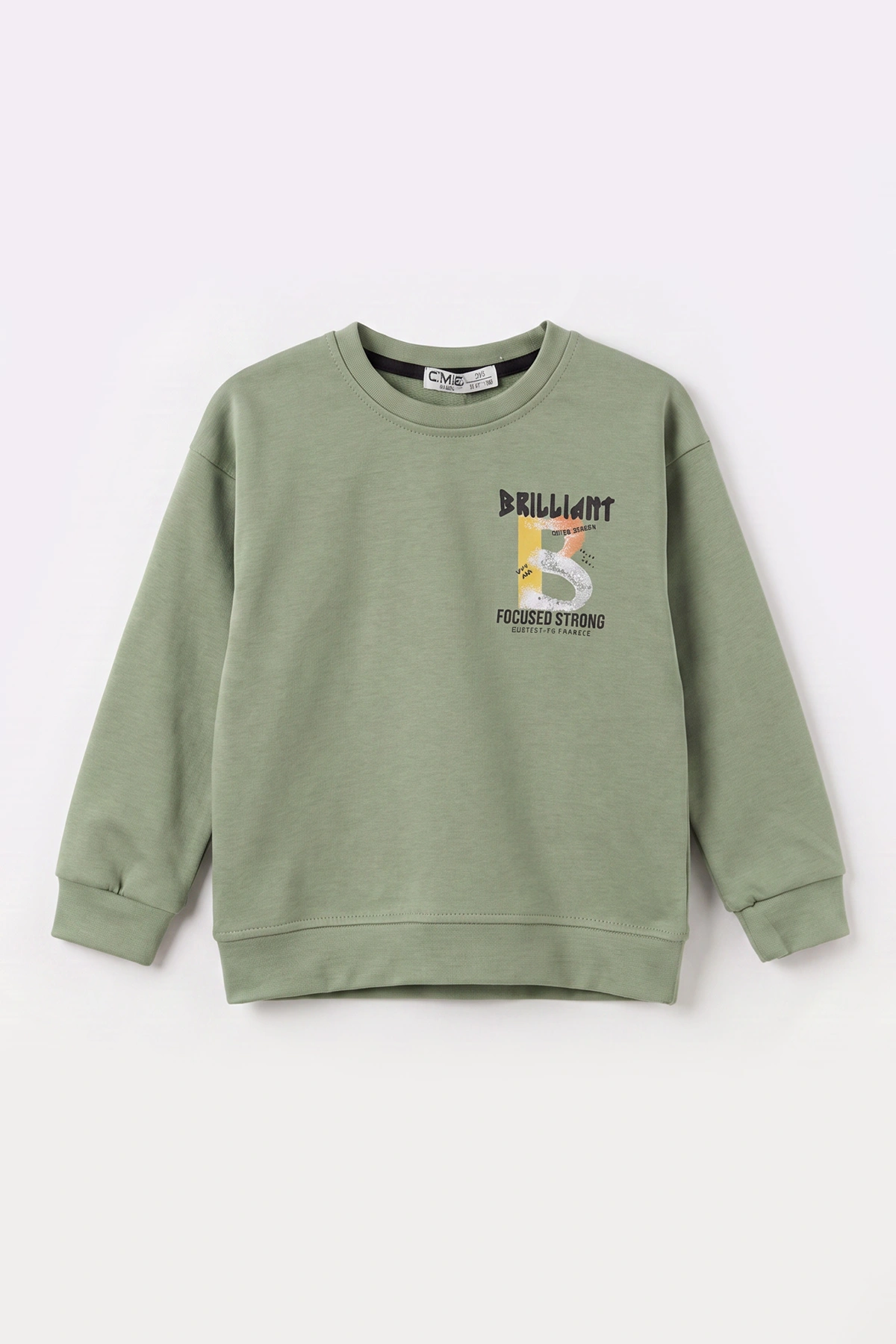 Su Yeşili (3-12 Yaş)Baskılı 2 İp Erkek Çocuk Sweatshirt 484124