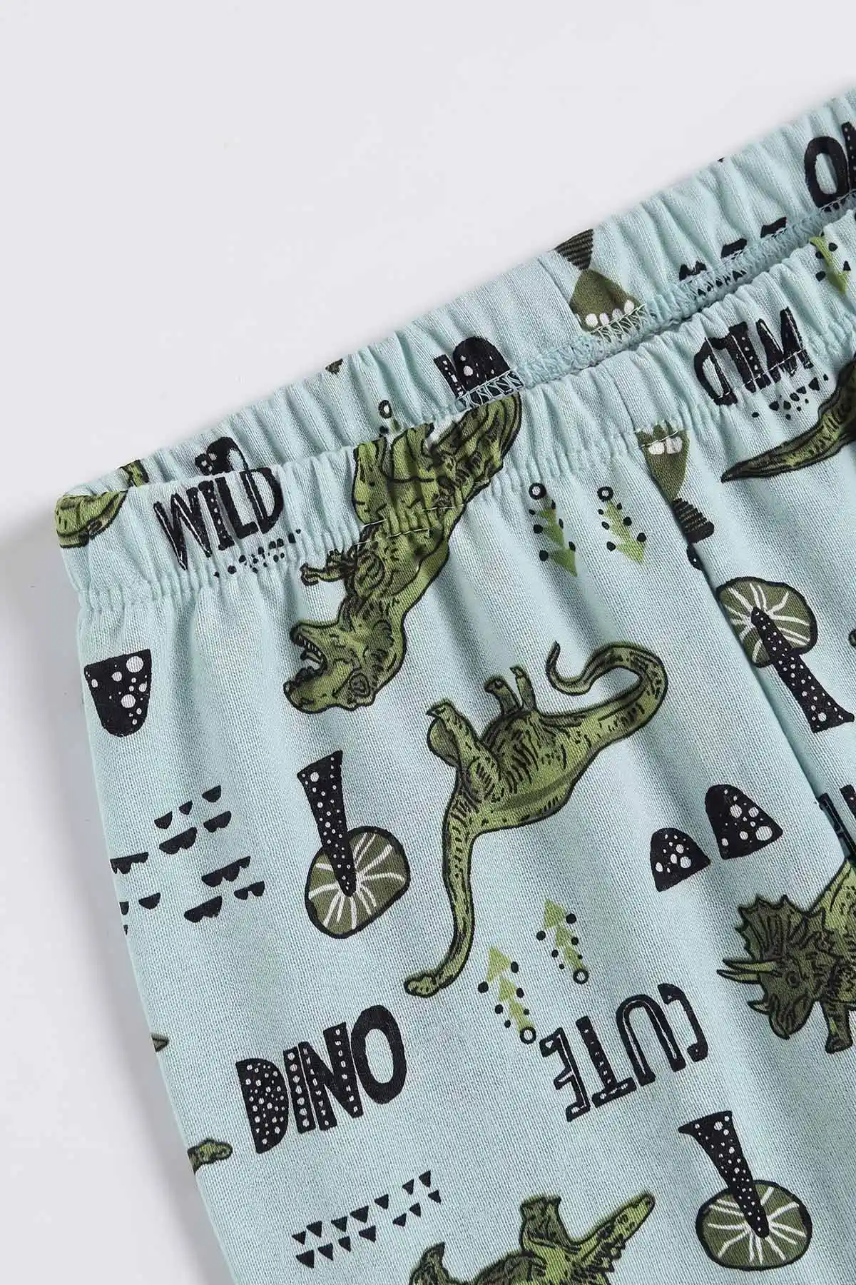 Su Yeşili (4-10 Yaş) Desenli 2 İp Erkek Çocuk Pijama Takım 483336