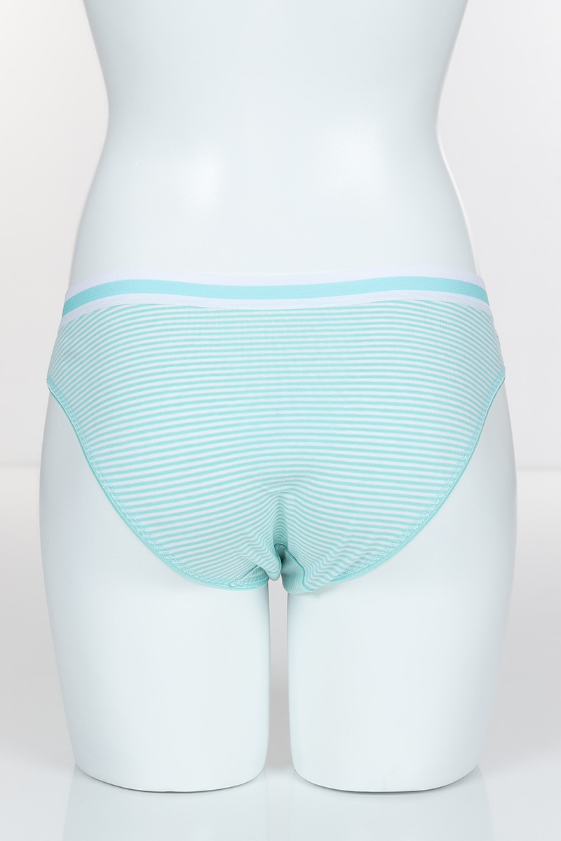 Su Yeşili 4316 Bikini Love Baskılı Çizgili Külot 102264