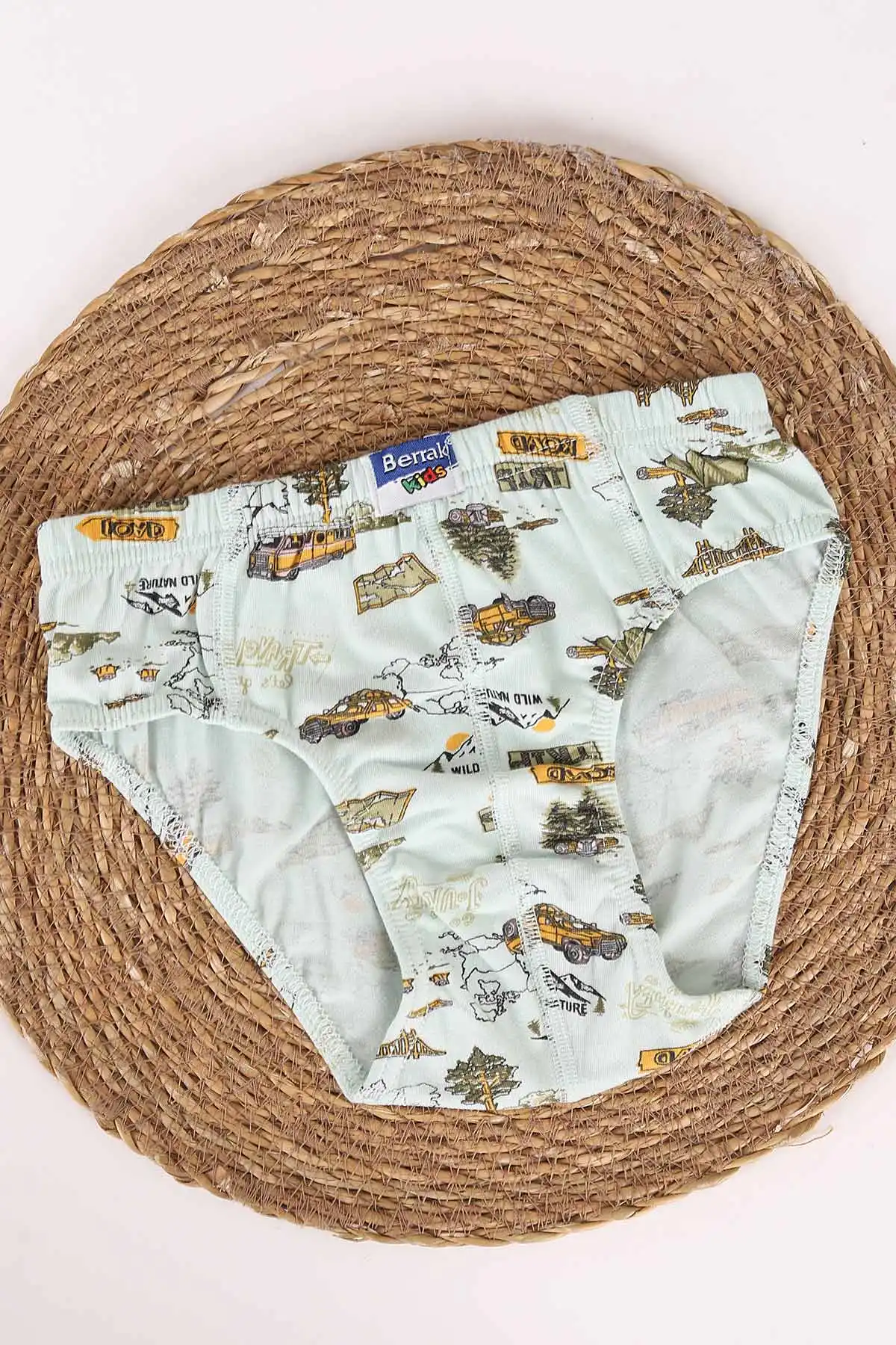 Su Yeşili Berrak ( 3-8 Yaş ) Baskılı Erkek Çocuk Boxer 460741