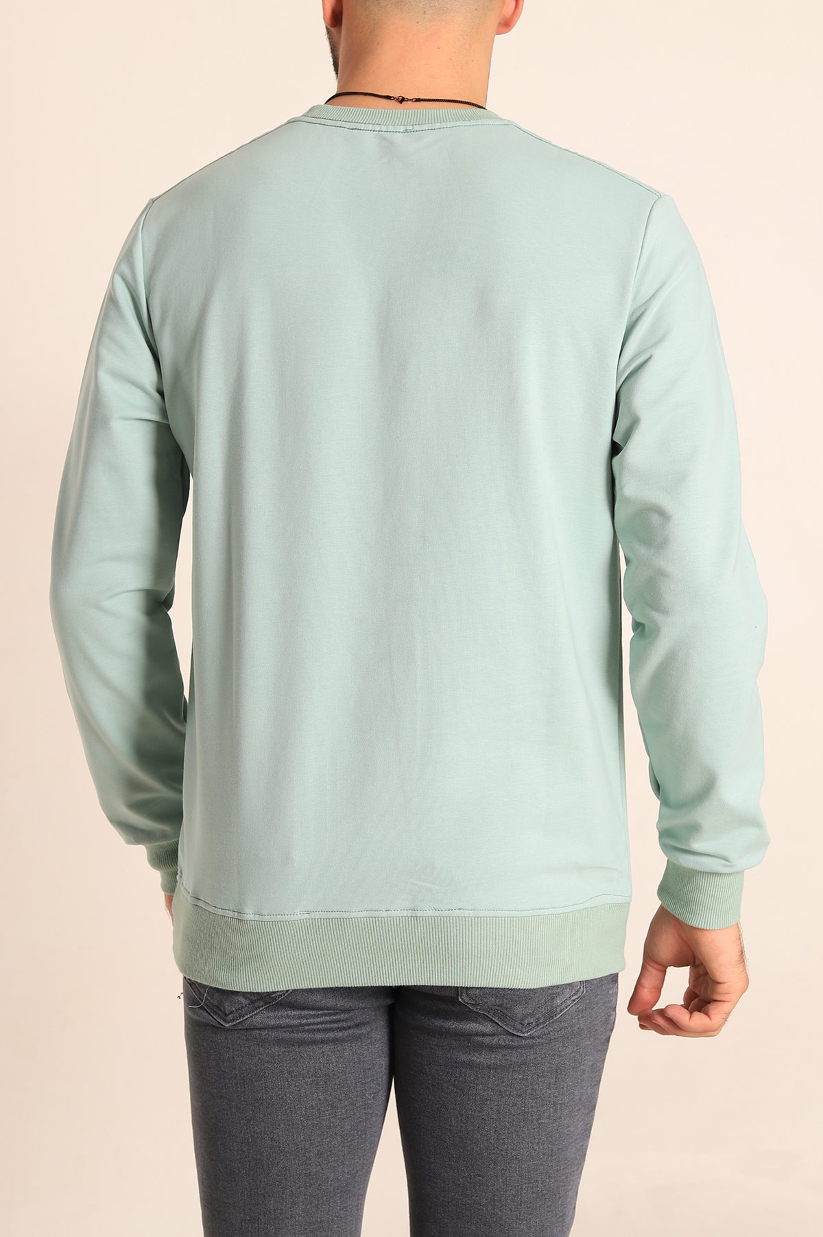 Su Yeşili Regular Fit Basic Bisiklet Yaka Erkek Sweatshirt 217619