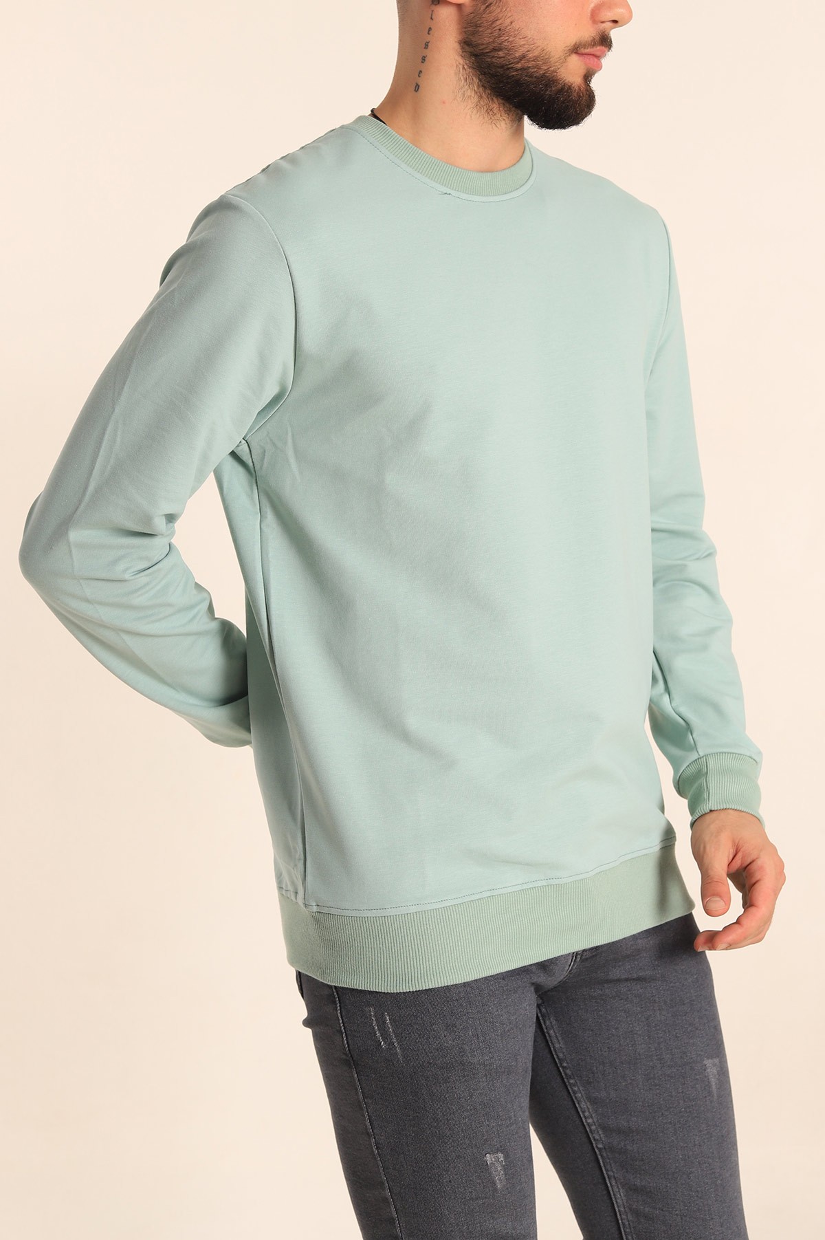 Su Yeşili Regular Fit Basic Bisiklet Yaka Erkek Sweatshirt 217619