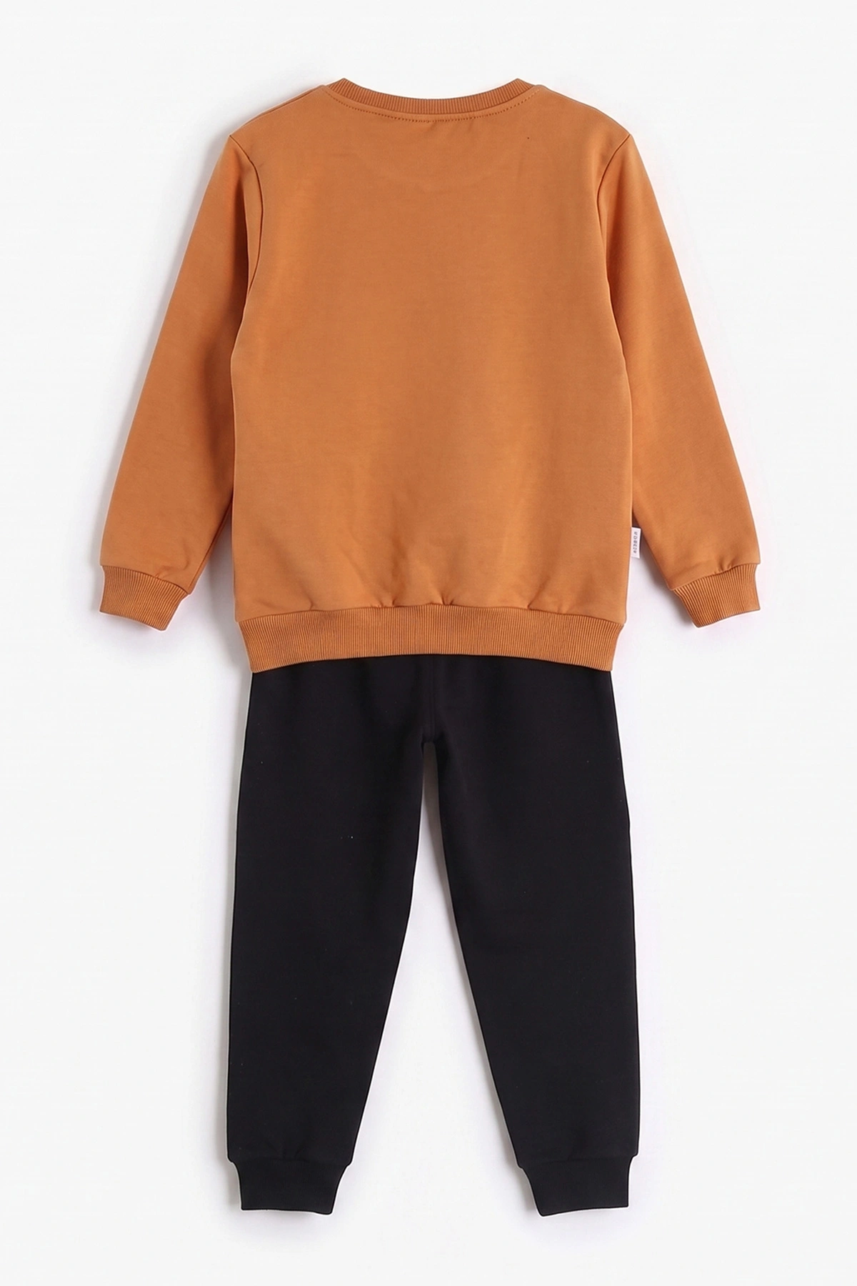 Taba (2-6 Yaş)Panda Baskılı 2 İp Erkek Çocuk Mevsimlik Takım 472731