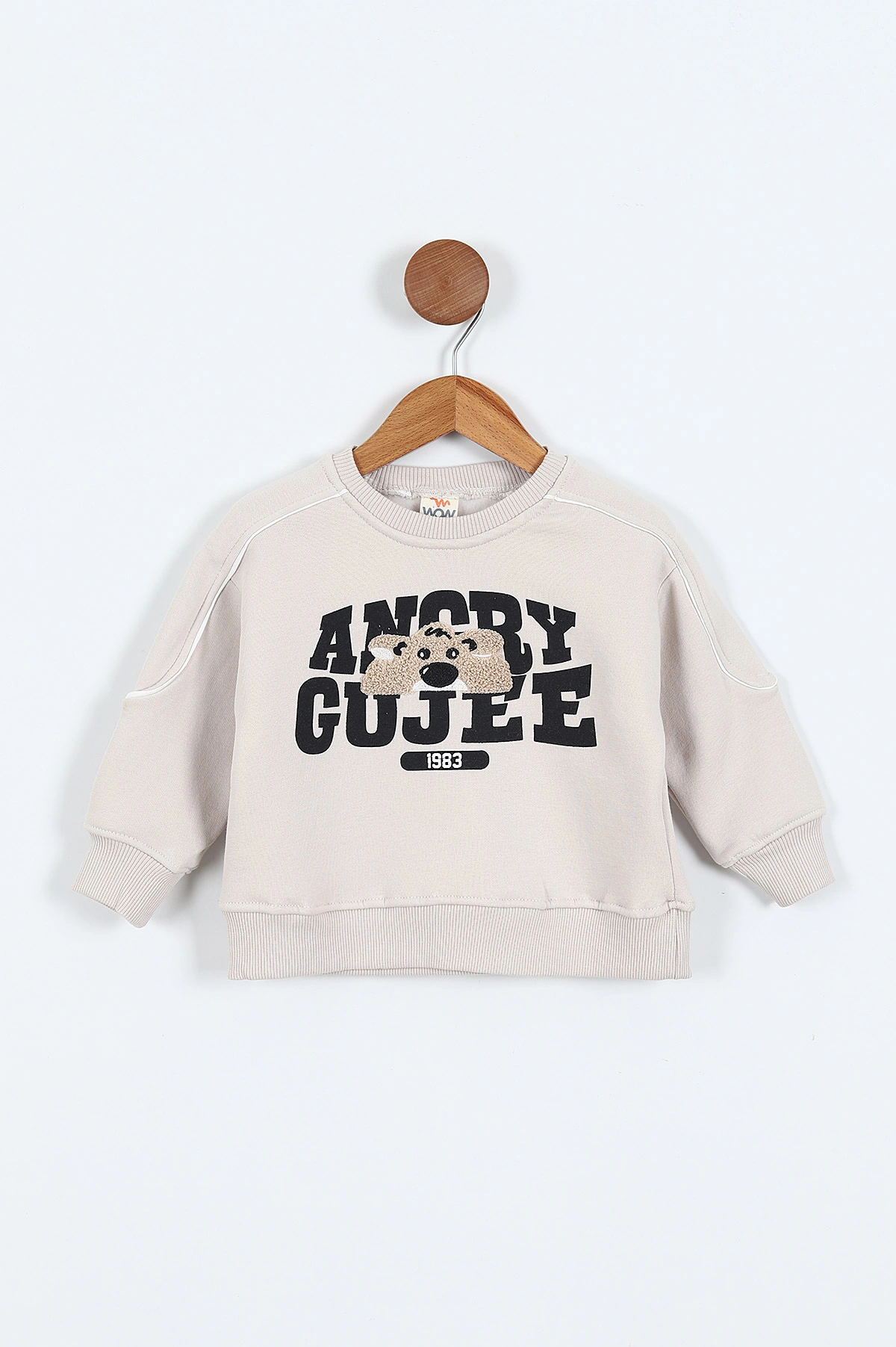 Taş (0-4 Yaş)Gujje Baskılı Biye Detaylı  3  İp Şardonlu Erkek Çocuk Sweatshirt 417570