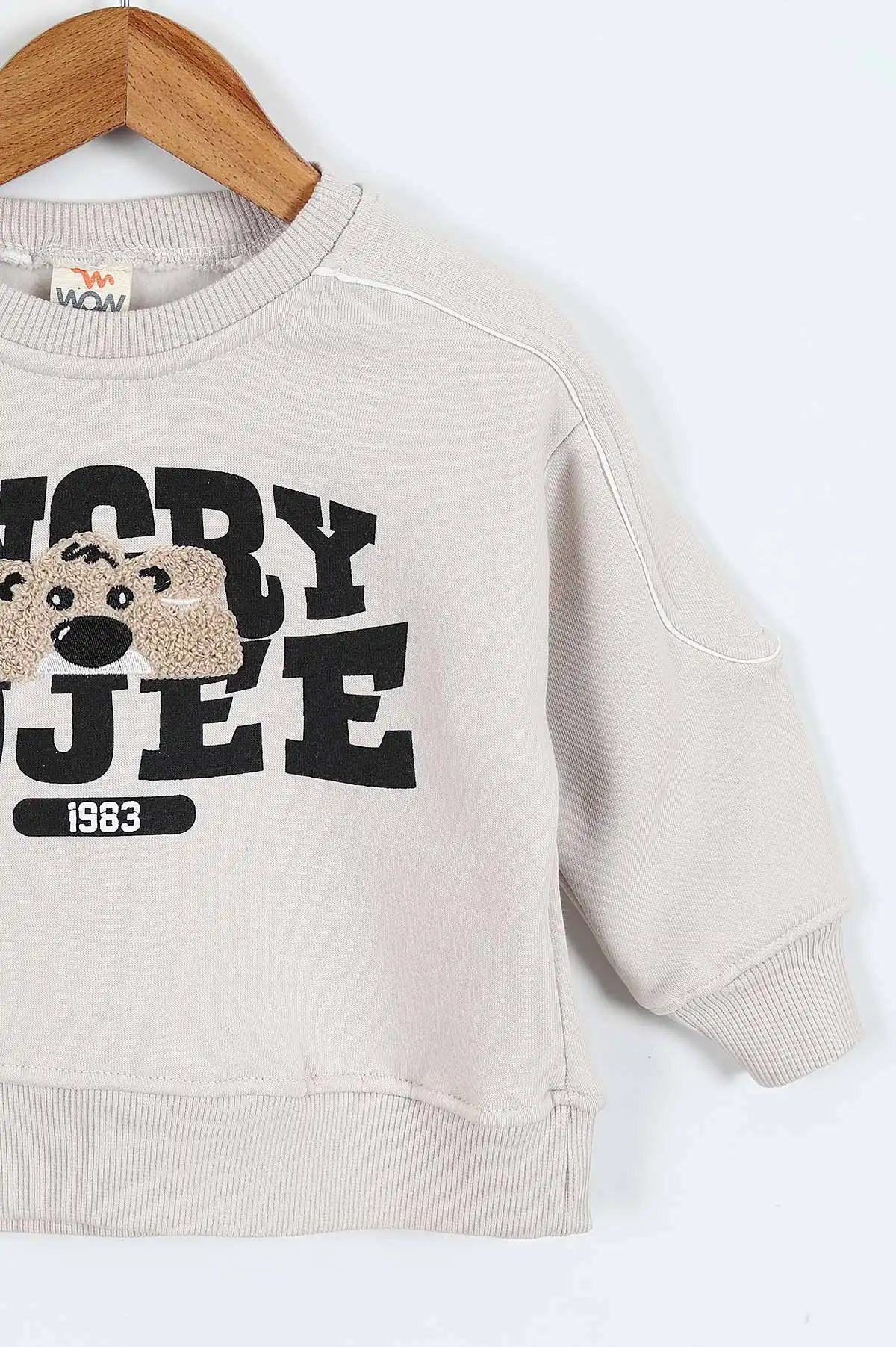 Taş (0-4 Yaş)Gujje Baskılı Biye Detaylı  3  İp Şardonlu Erkek Çocuk Sweatshirt 417570