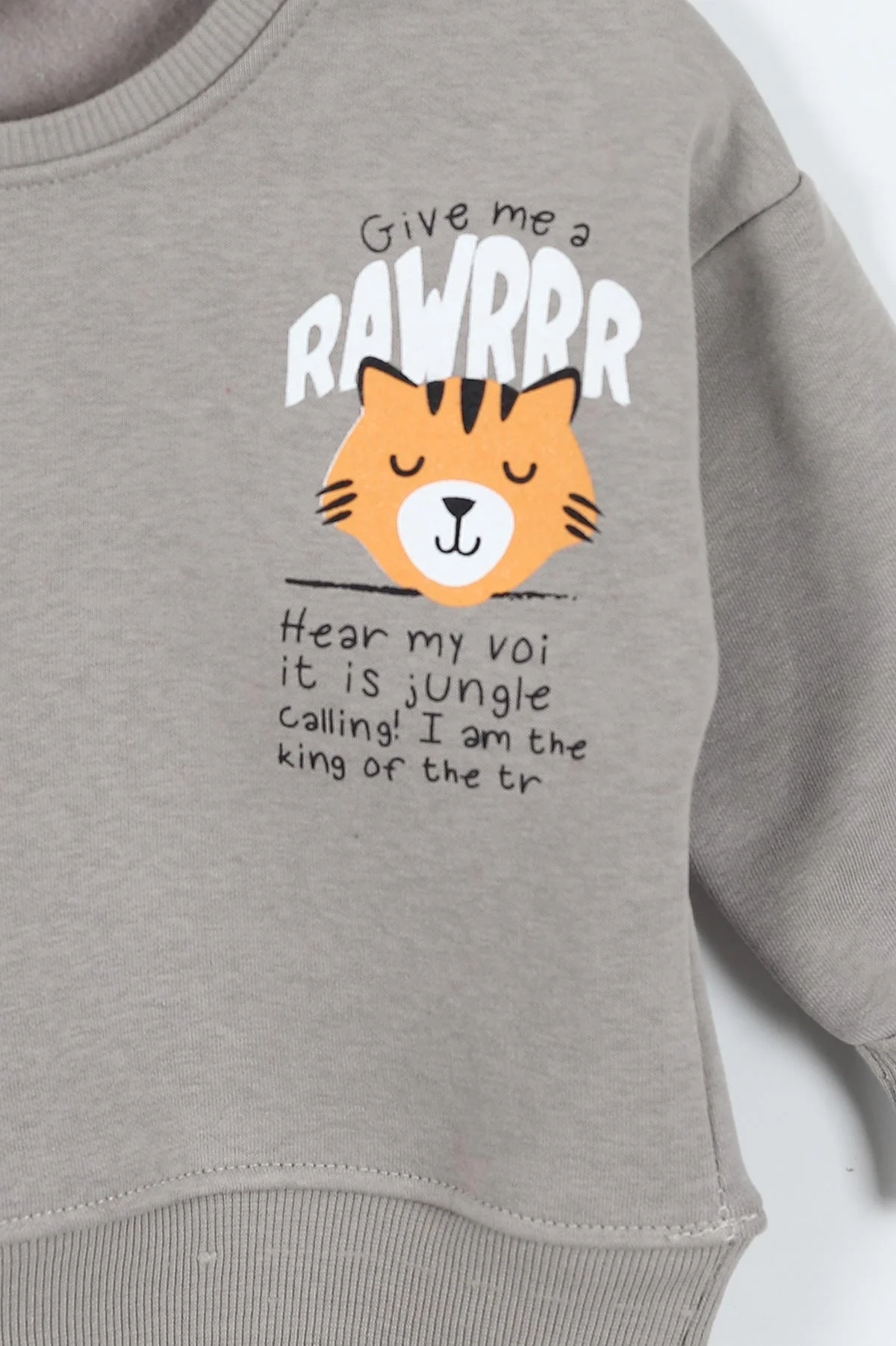 Taş (0-4 Yaş)Rawr Baskılı  3  İp Şardonlu Erkek Çocuk Sweatshirt 415037
