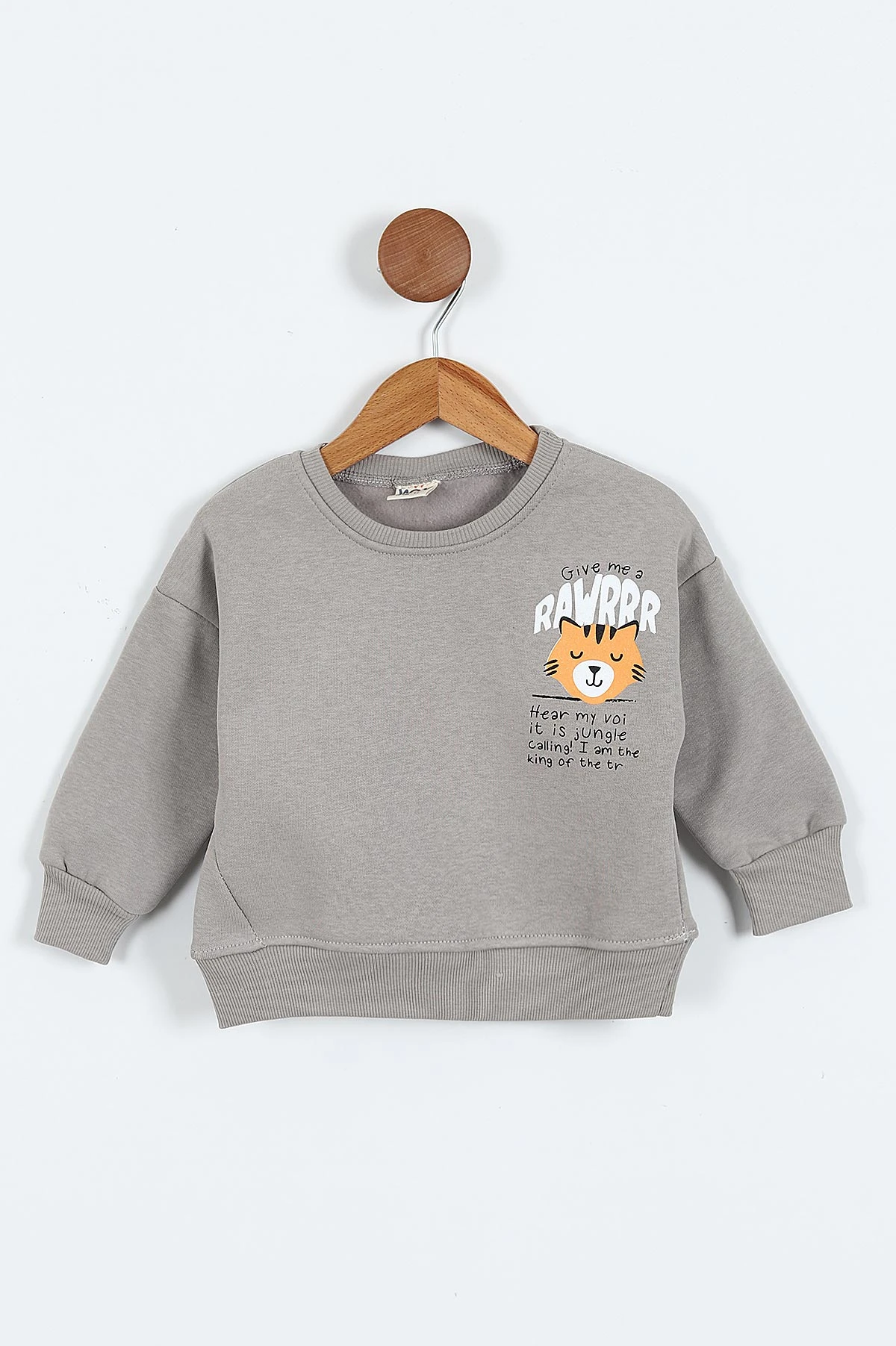 Taş (0-4 Yaş)Rawr Baskılı  3  İp Şardonlu Erkek Çocuk Sweatshirt 415037