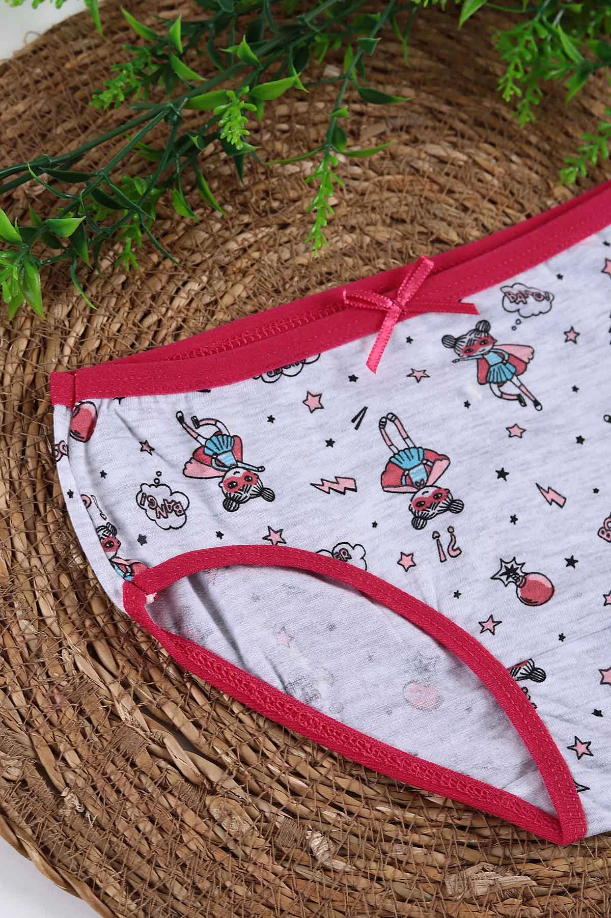 Taş (2-11 Yaş) Baskılı Fiyonklu Kız Çocuk Külot 238569