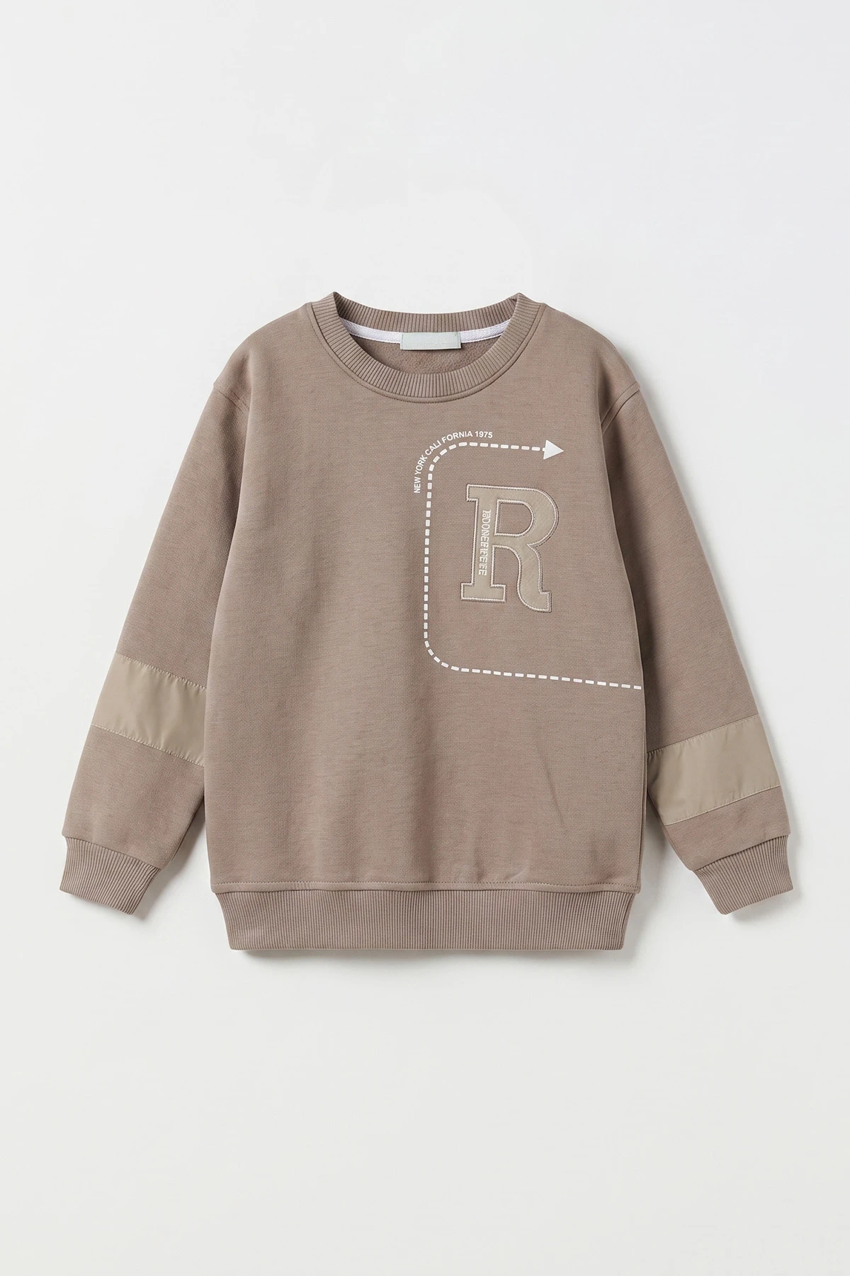 Taş (2-12 Yaş) R Nakışlı İçi Şardonlu Erkek Çocuk Sweatshirt 483310