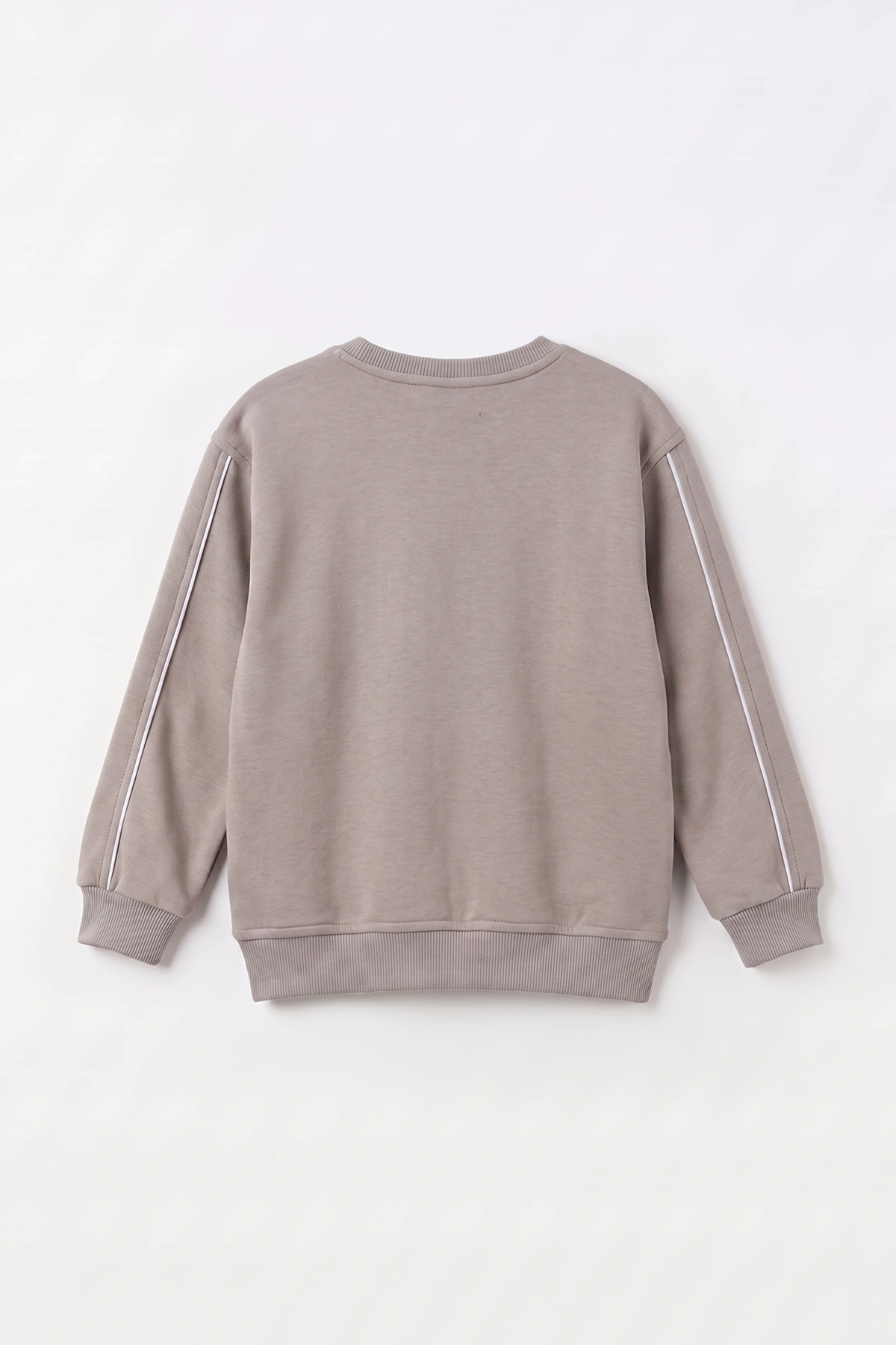 Taş (2-12 Yaş) Theless Nakışlı  İçi Şardonlu Erkek  Çocuk Sweatshirt 483297