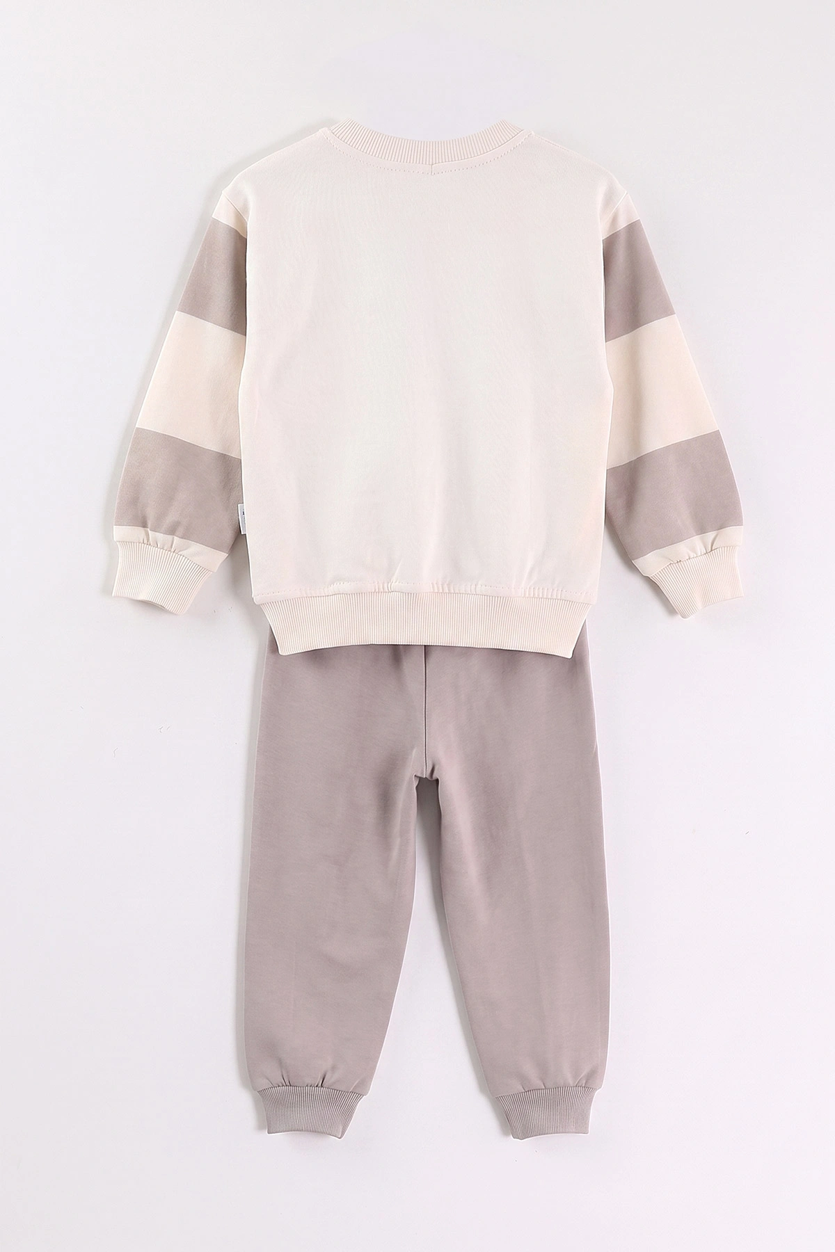 Taş (2-5 Yaş) Sportif Baskılı Erkek Çocuk Takım 471356