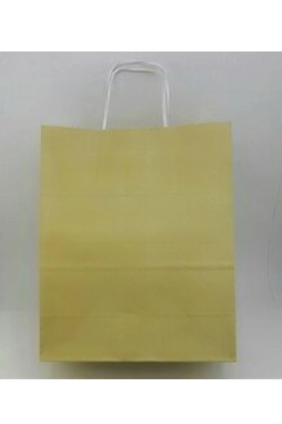Taş 25x12x31 Büküm Saplı Çanta 5'li 301124