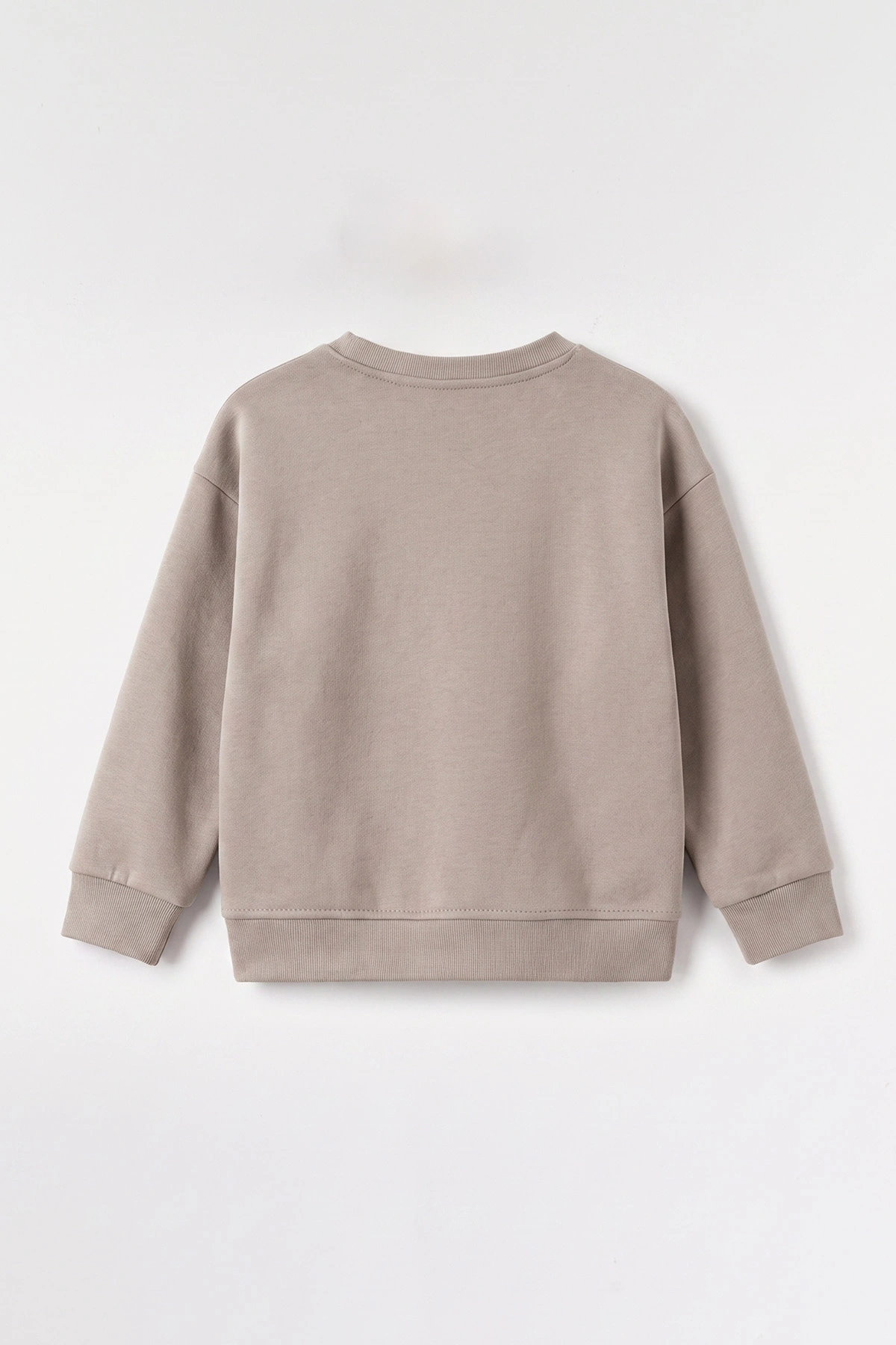 Taş (3-12 Yaş) Yazı Nakışlı Erkek Çocuk Sweatshirt 473818