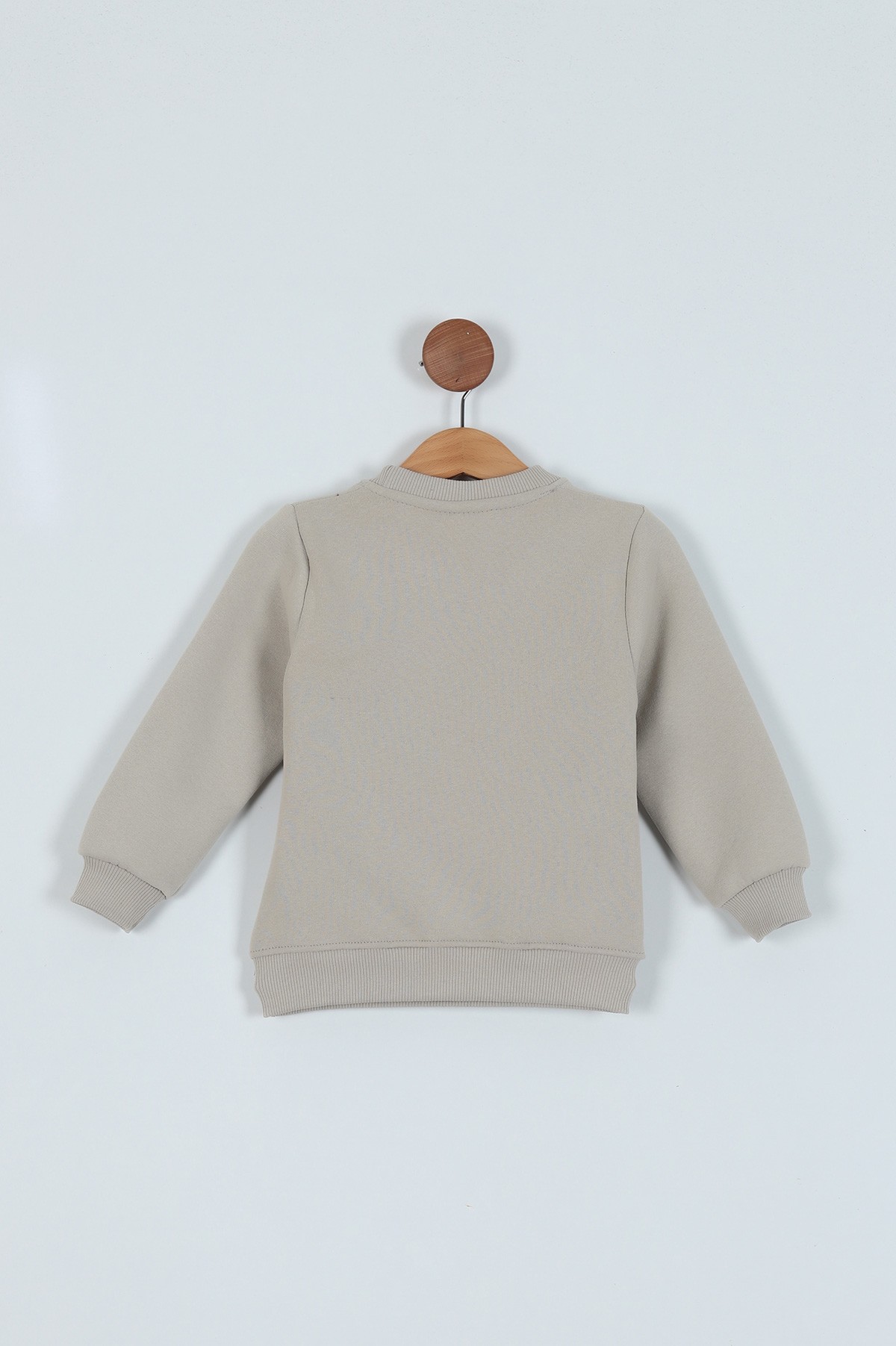 Taş (3-7 Yaş) Baskılı 3 İp Erkek Çocuk Sweatshirt 224322