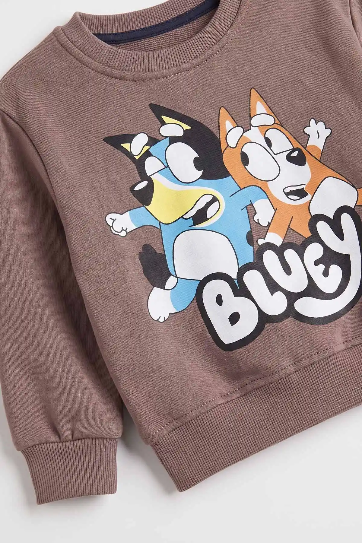 Vizon (1-5 Yaş) Bluey  Baskılı 3 İp Şardonlu Erkek Çocuk Kışlık Takım 487774