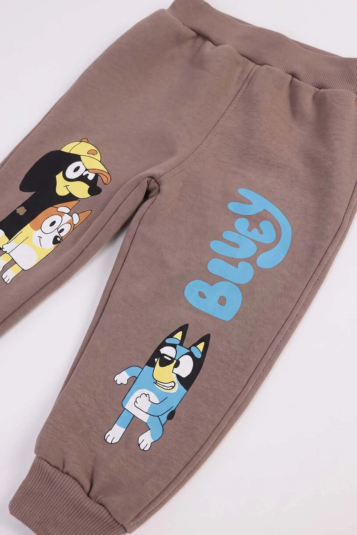 Vizon (1-5 Yaş) Bluey  Baskılı 3 İp Şardonlu Erkek Çocuk Kışlık Takım 487774