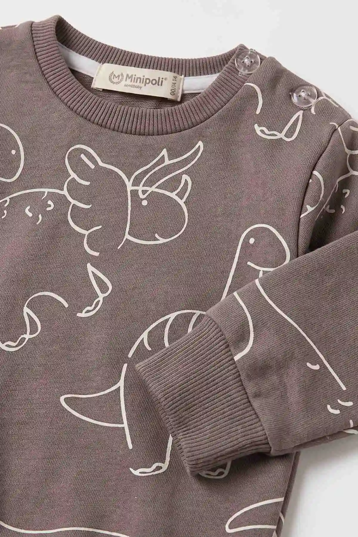Vizon (6-24 Ay) Dinozor Baskılı Erkek Bebek Takım 478218
