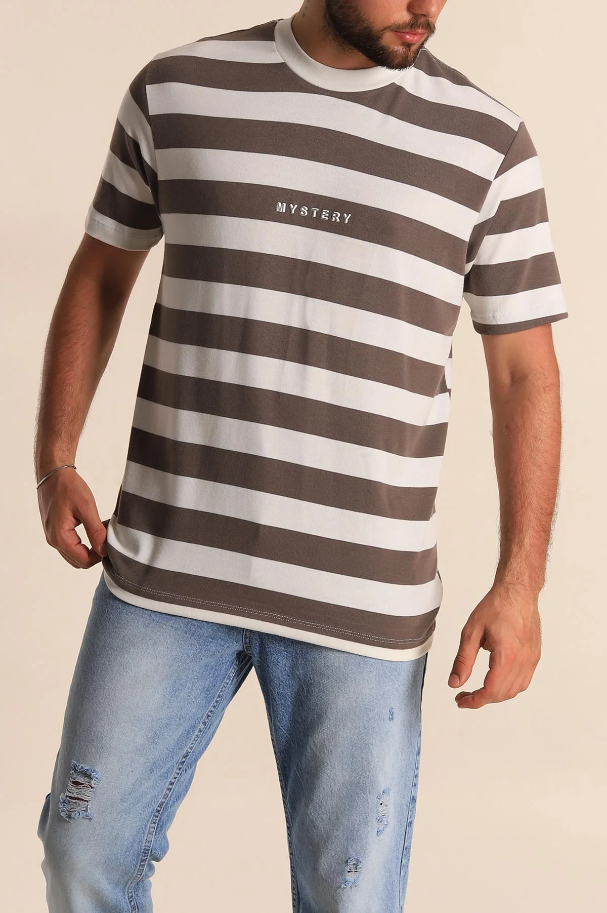 Vizon Beyaz Çizgili Relaxed Fit Yazı Detay Erkek Triko Tişört 279247