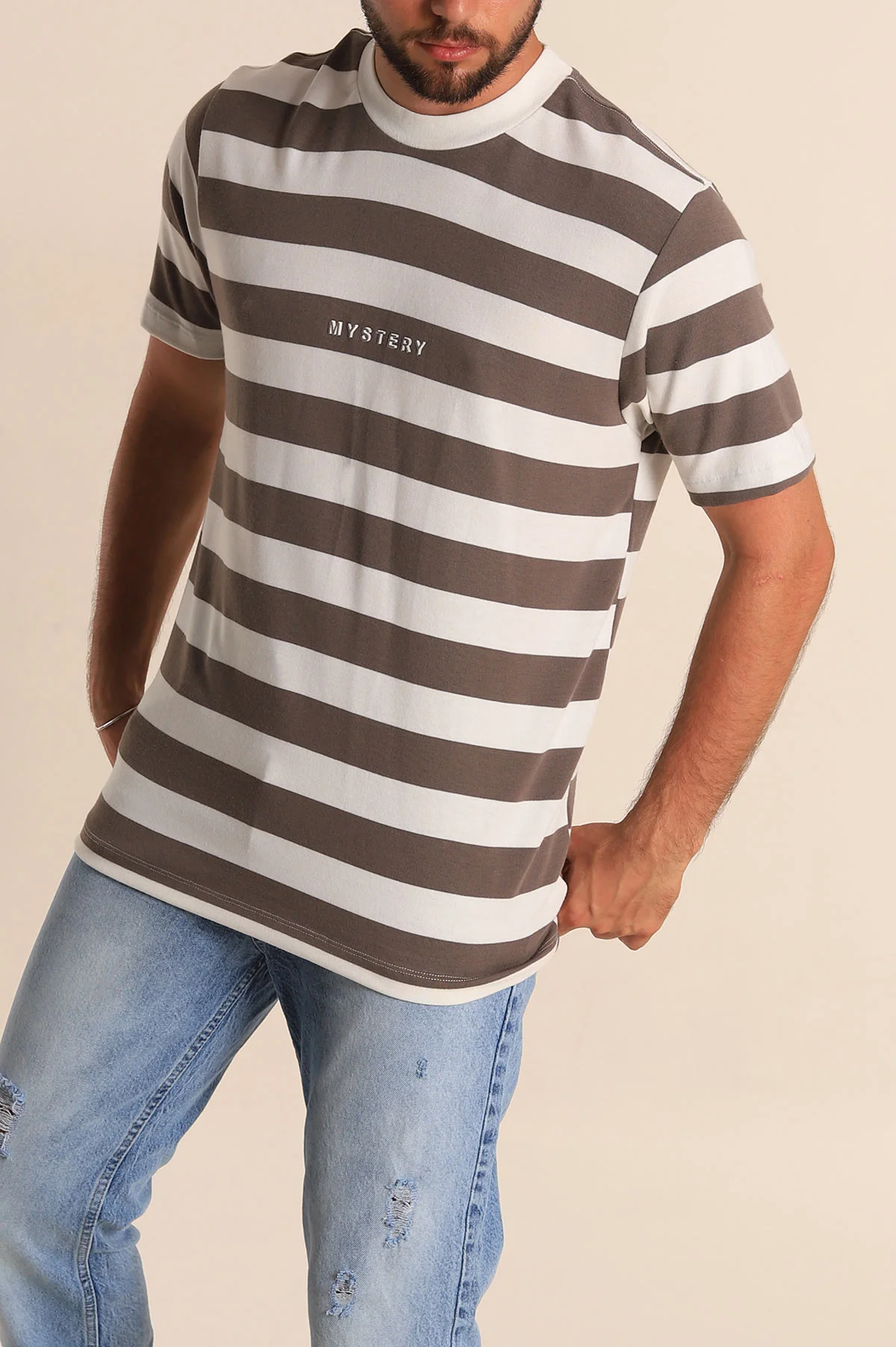 Vizon Beyaz Çizgili Relaxed Fit Yazı Detay Erkek Triko Tişört 279247