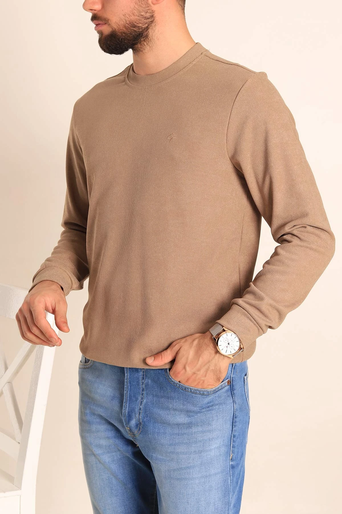 Vizon Jakarlı Bisiklet Yaka Erkek Sweatshirt 236817