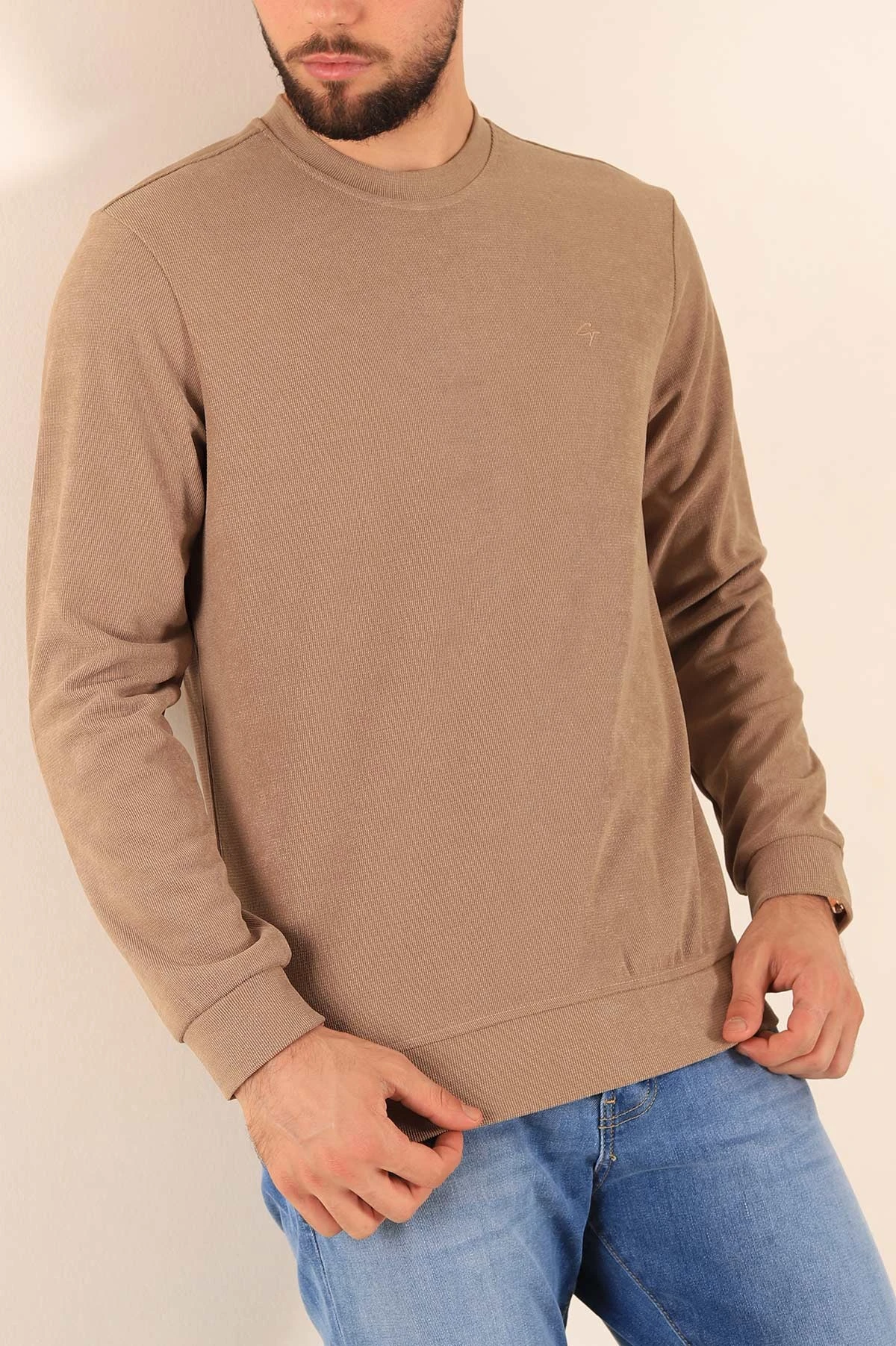 Vizon Jakarlı Bisiklet Yaka Erkek Sweatshirt 236817
