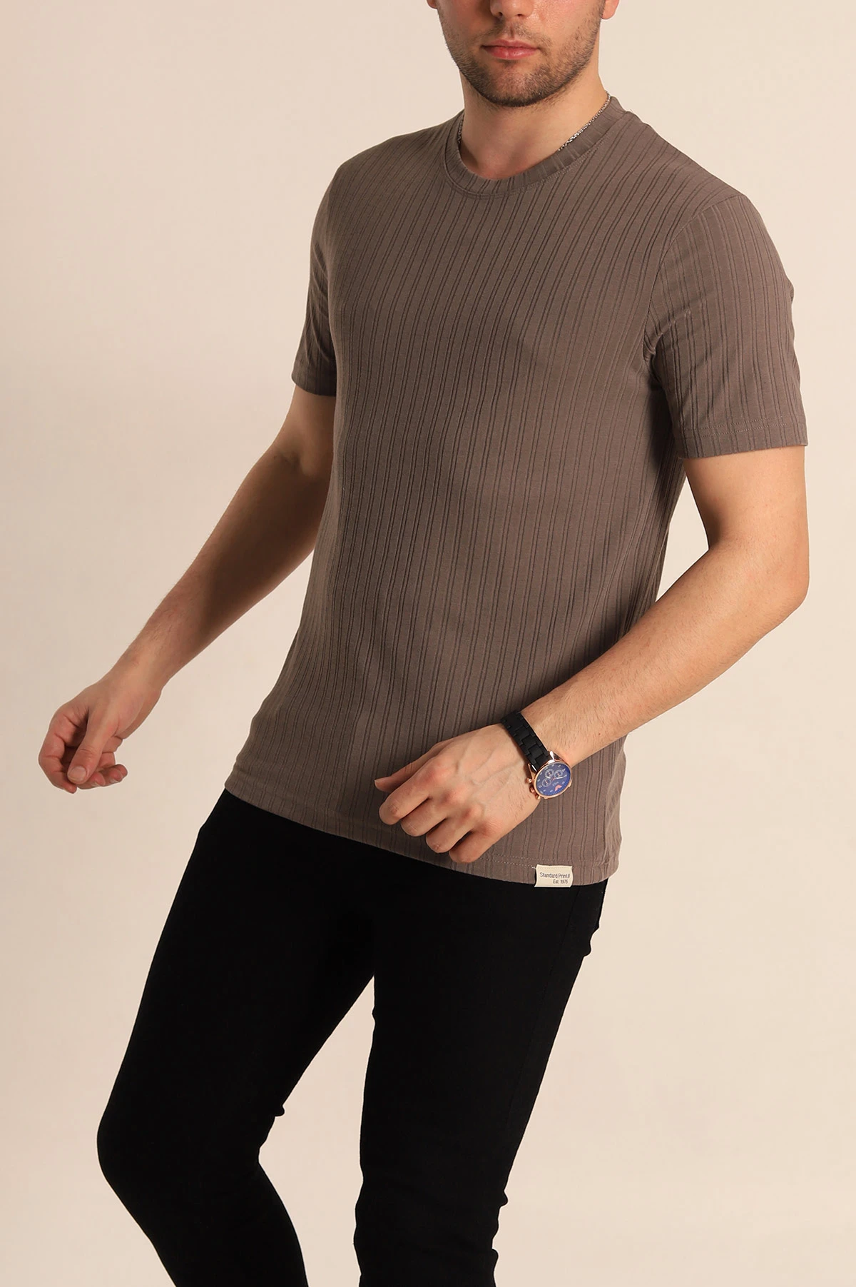 Vizon Regular Fit Jakarlı Çizgi Dokulu Erkek Tişört 260479