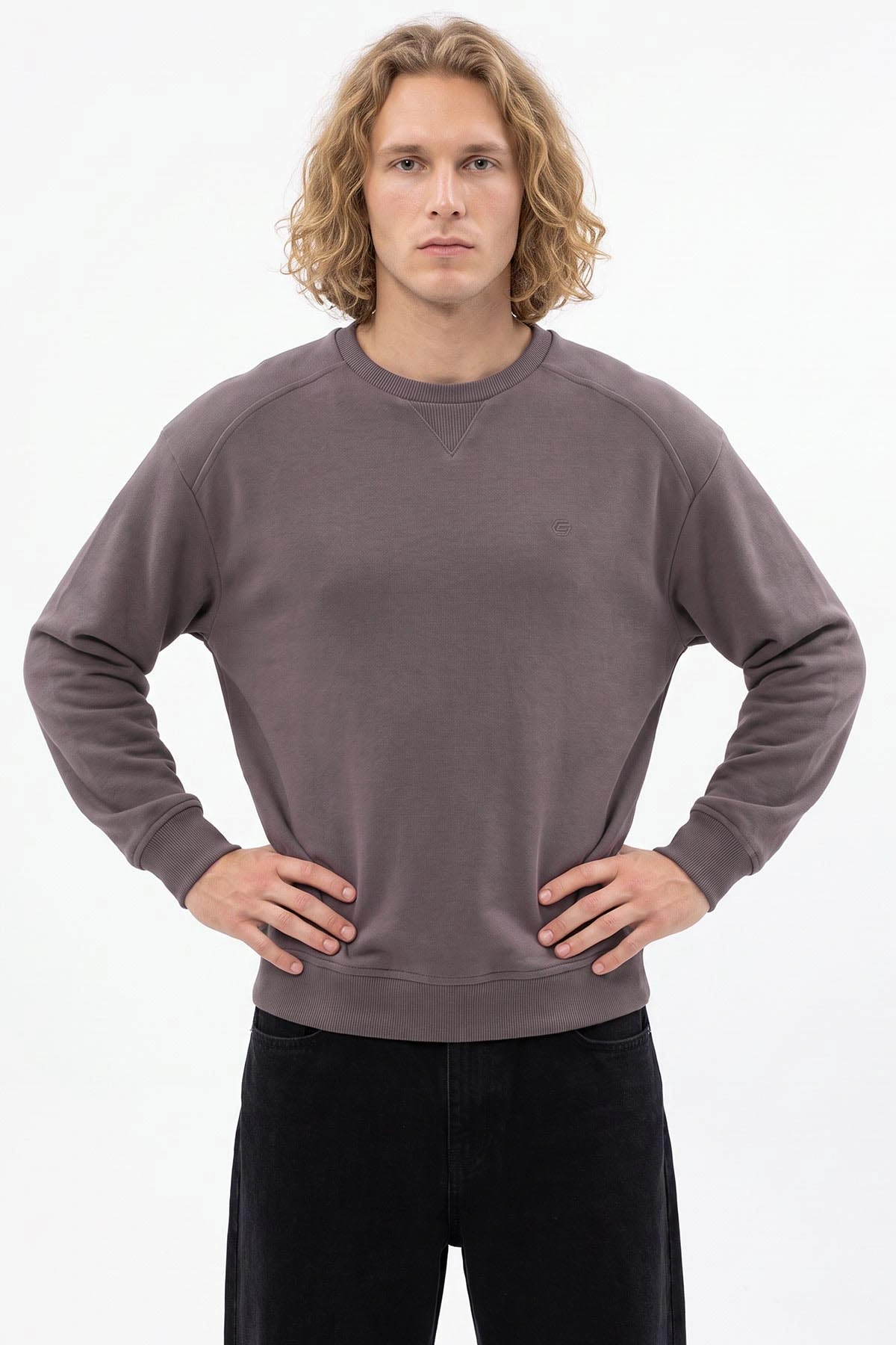 Vizon Selanik Bisiklet Yaka Erkek Sweatshirt 494736