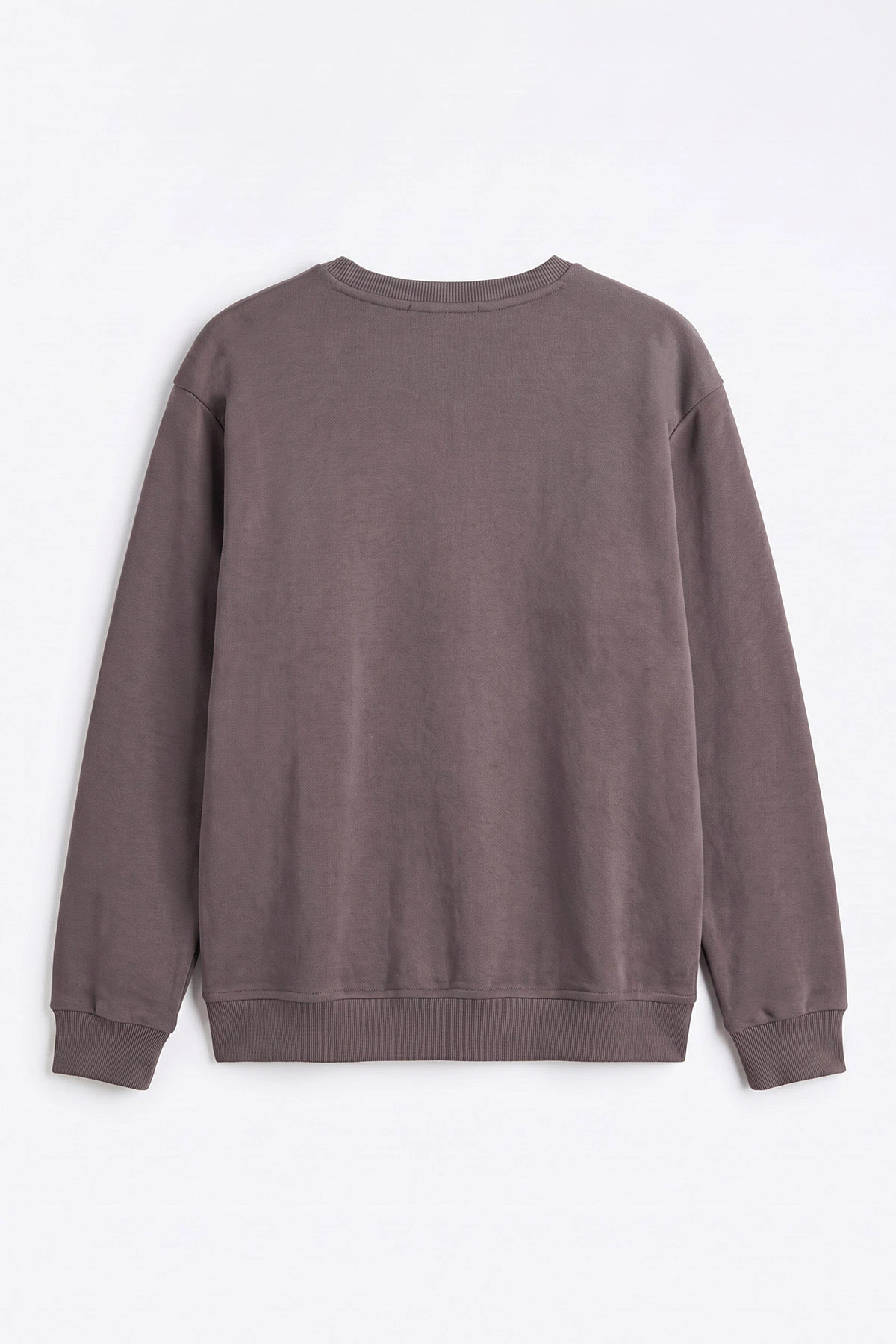 Vizon Selanik Bisiklet Yaka Erkek Sweatshirt 494736