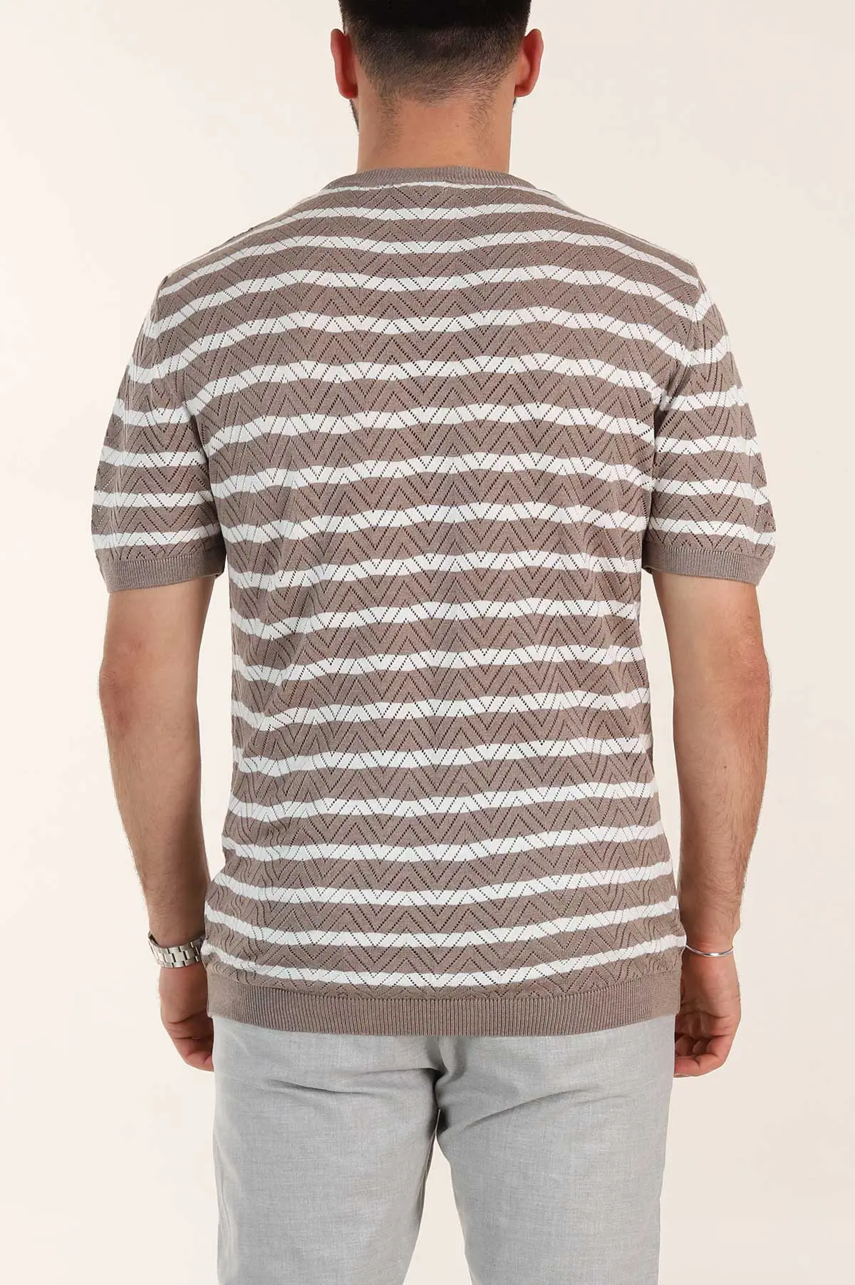Vizon Slim Fit Çizgili Bisiklet Yaka Erkek Triko Tişört 358312