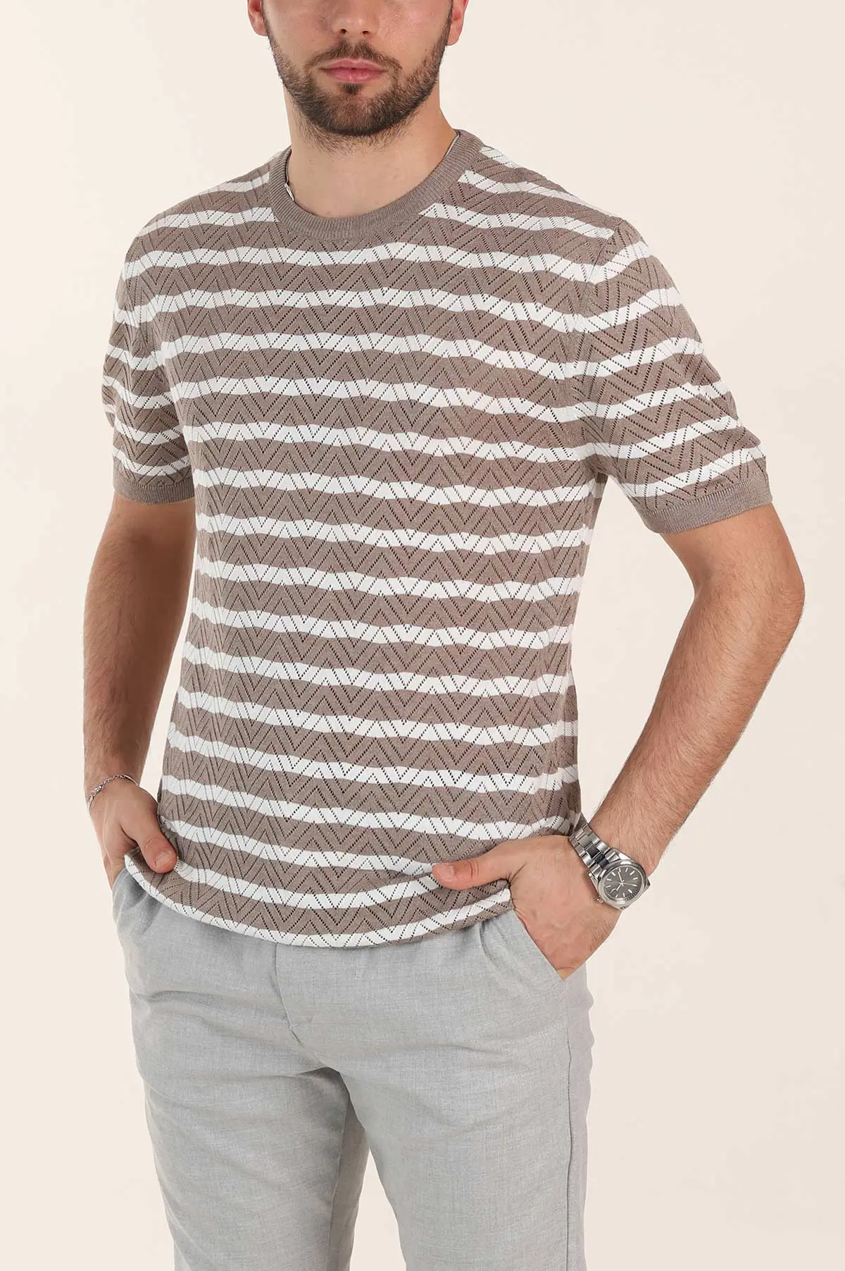 Vizon Slim Fit Çizgili Bisiklet Yaka Erkek Triko Tişört 358312