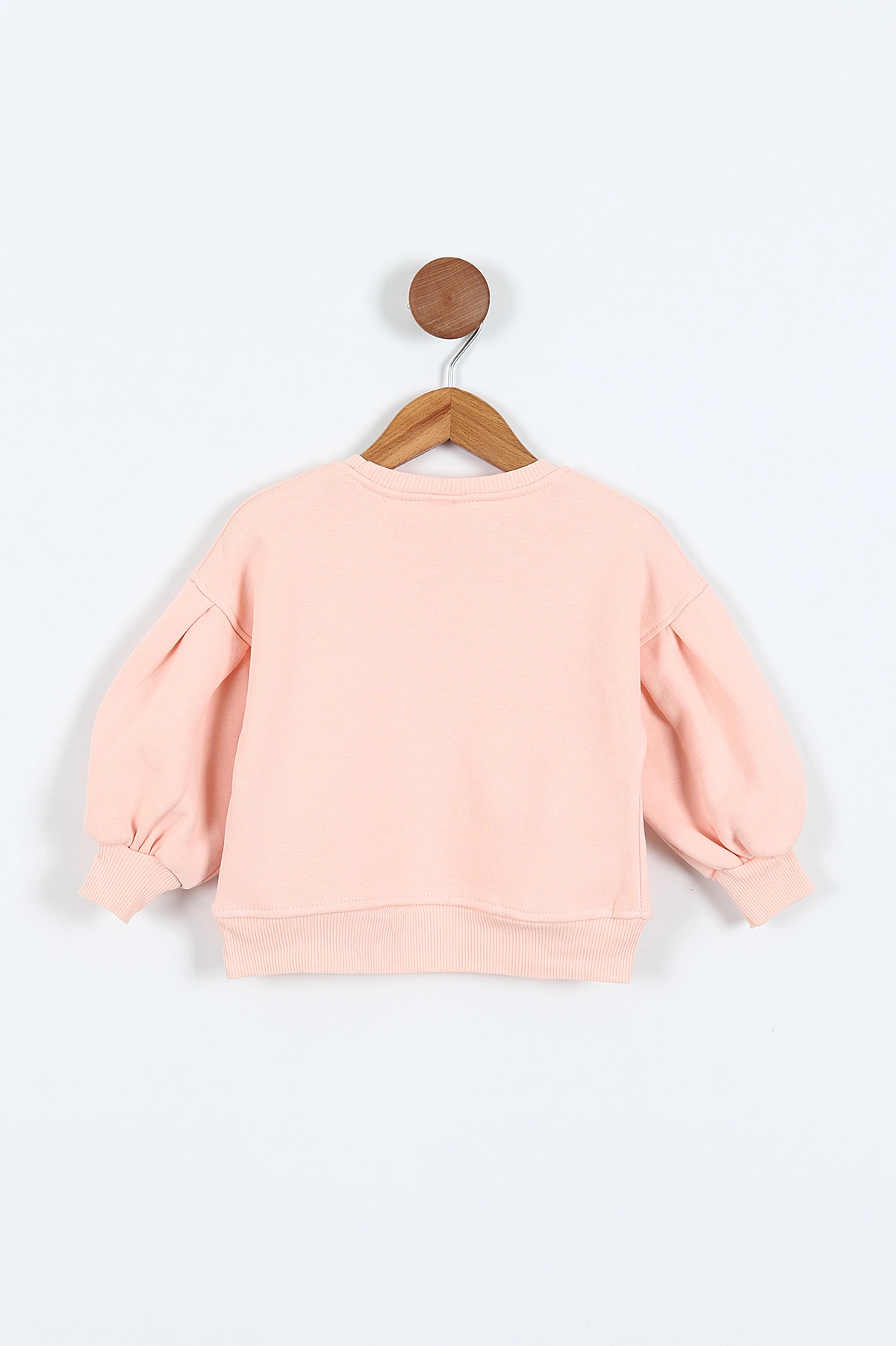 Yavruağzı (0-4 Yaş)Çiçek Nakışlı Baskılı  3 İp Şardonlu Kız Çocuk Sweatshirt 417579