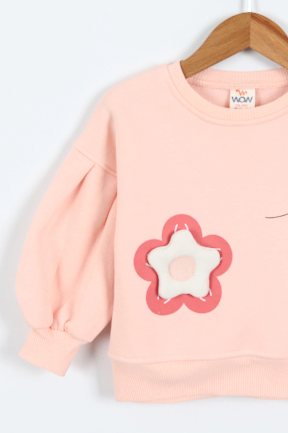 Yavruağzı (0-4 Yaş)Çiçek Nakışlı Baskılı  3 İp Şardonlu Kız Çocuk Sweatshirt 417579