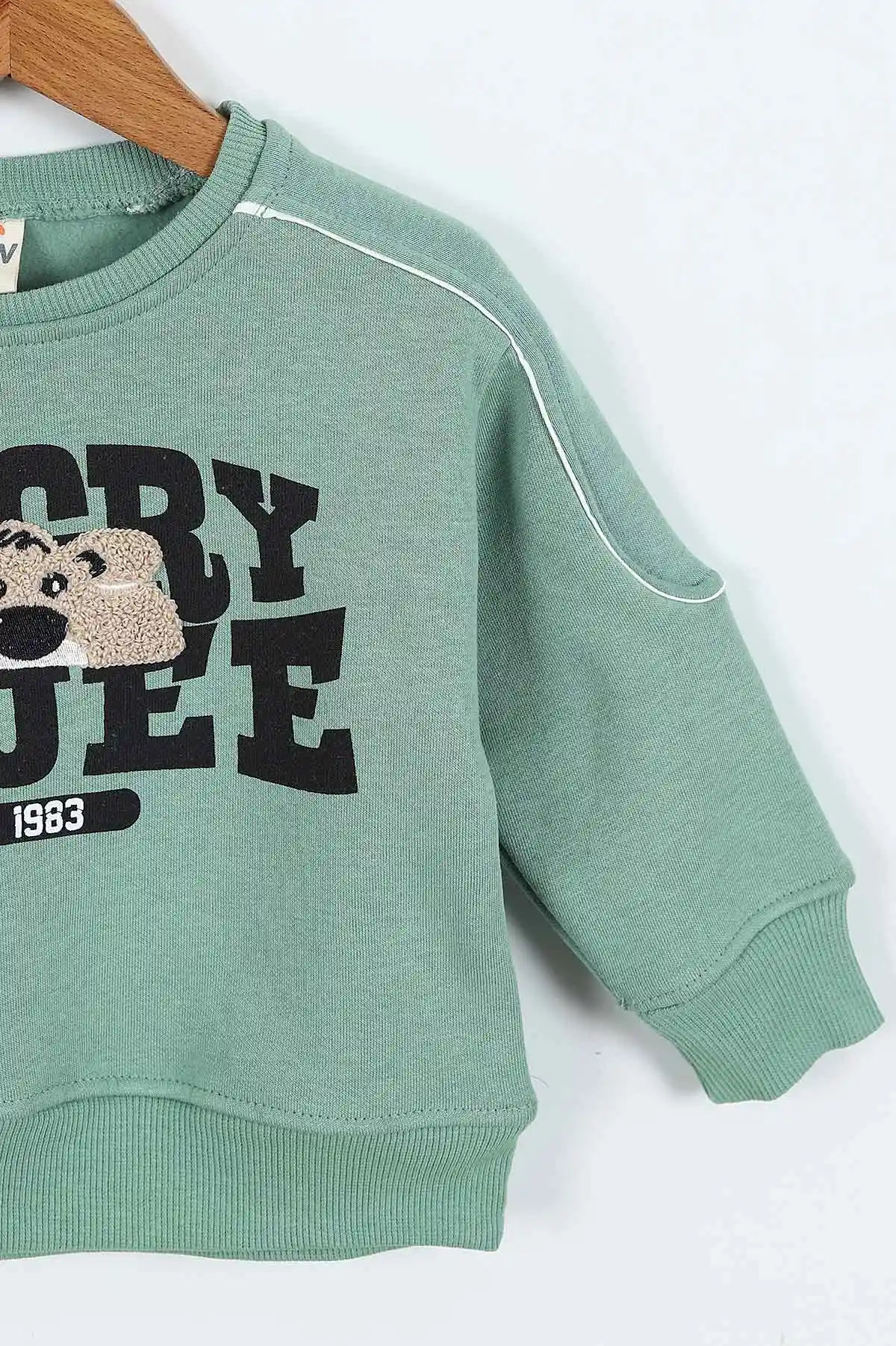 Yeşil (0-4 Yaş)Gujje Baskılı Biye Detaylı  3  İp Şardonlu Erkek Çocuk Sweatshirt 417567