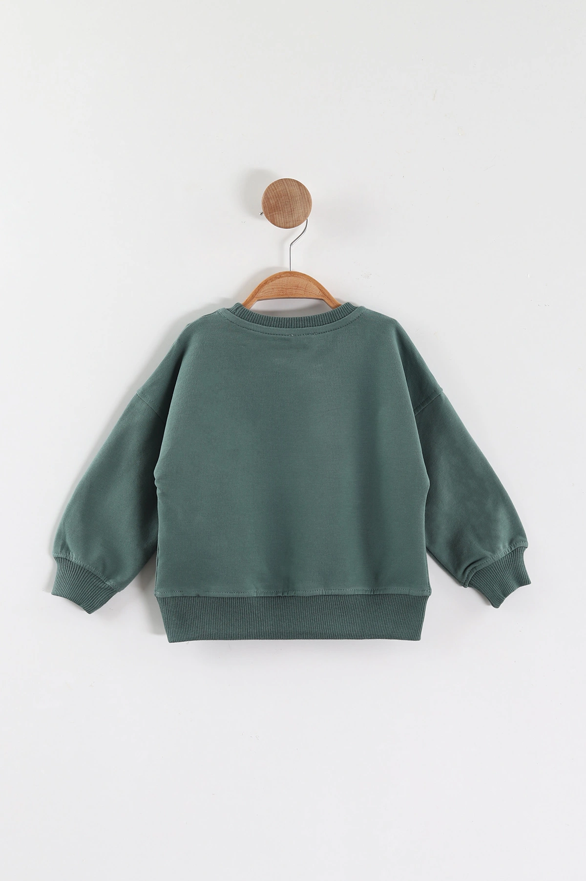 Yeşil (1-4 Yaş)Ayıcık Aksesuarlı Erkek Çocuk Sweatshirt 432822