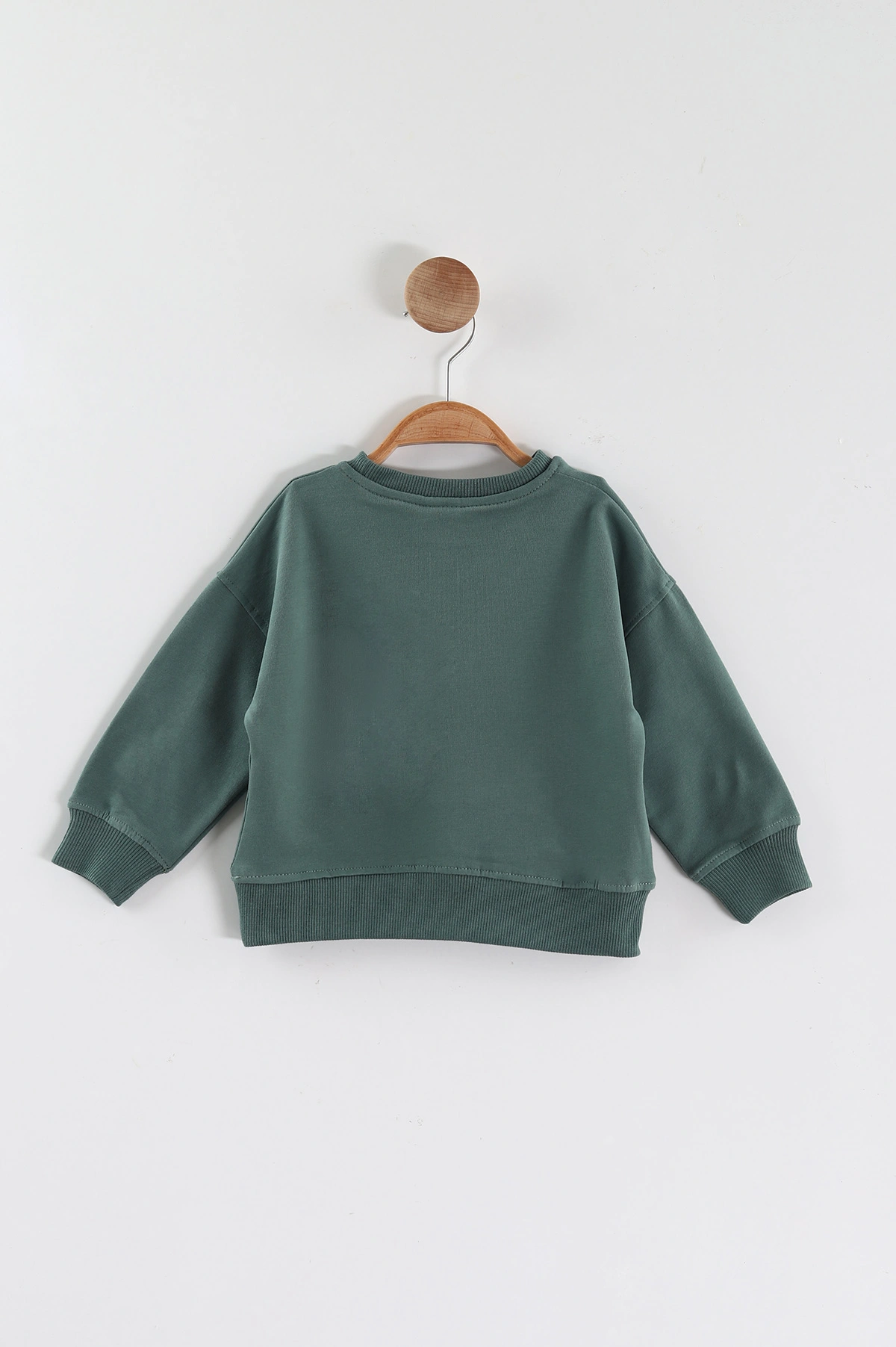 Yeşil (1-4 Yaş)Baskılı Cepli Erkek Çocuk Sweatshirt 432838